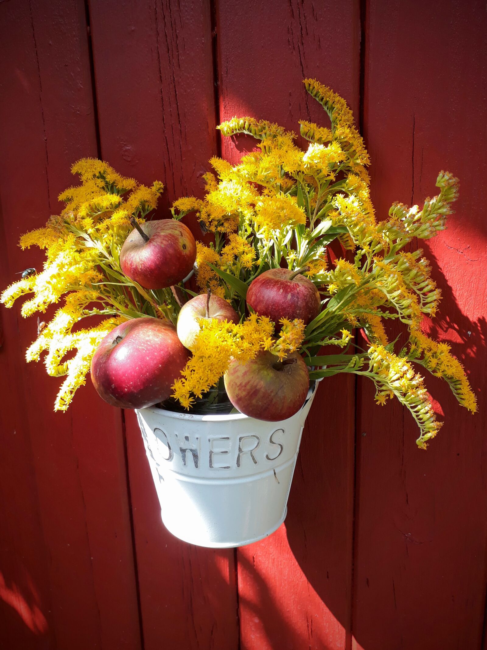 Samsung Galaxy A3(2017) sample photo. Autumn bouquet, apple, golden photography