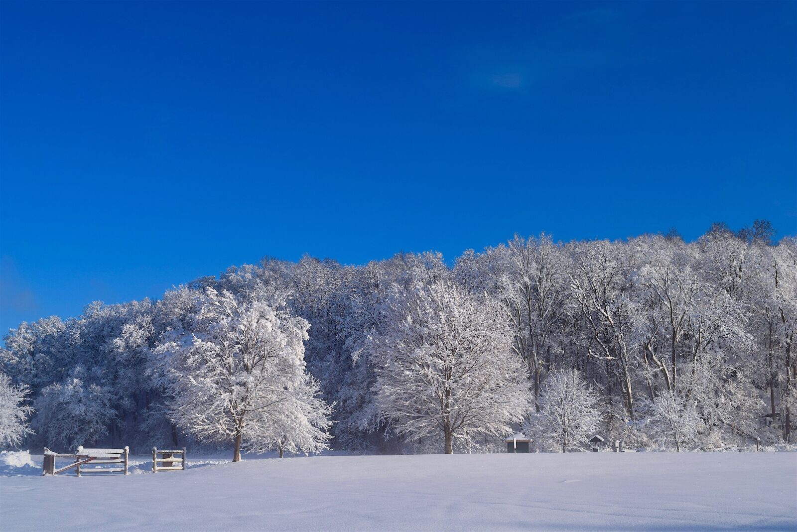 Nikon D3300 sample photo. Landscape, snow, winter photography