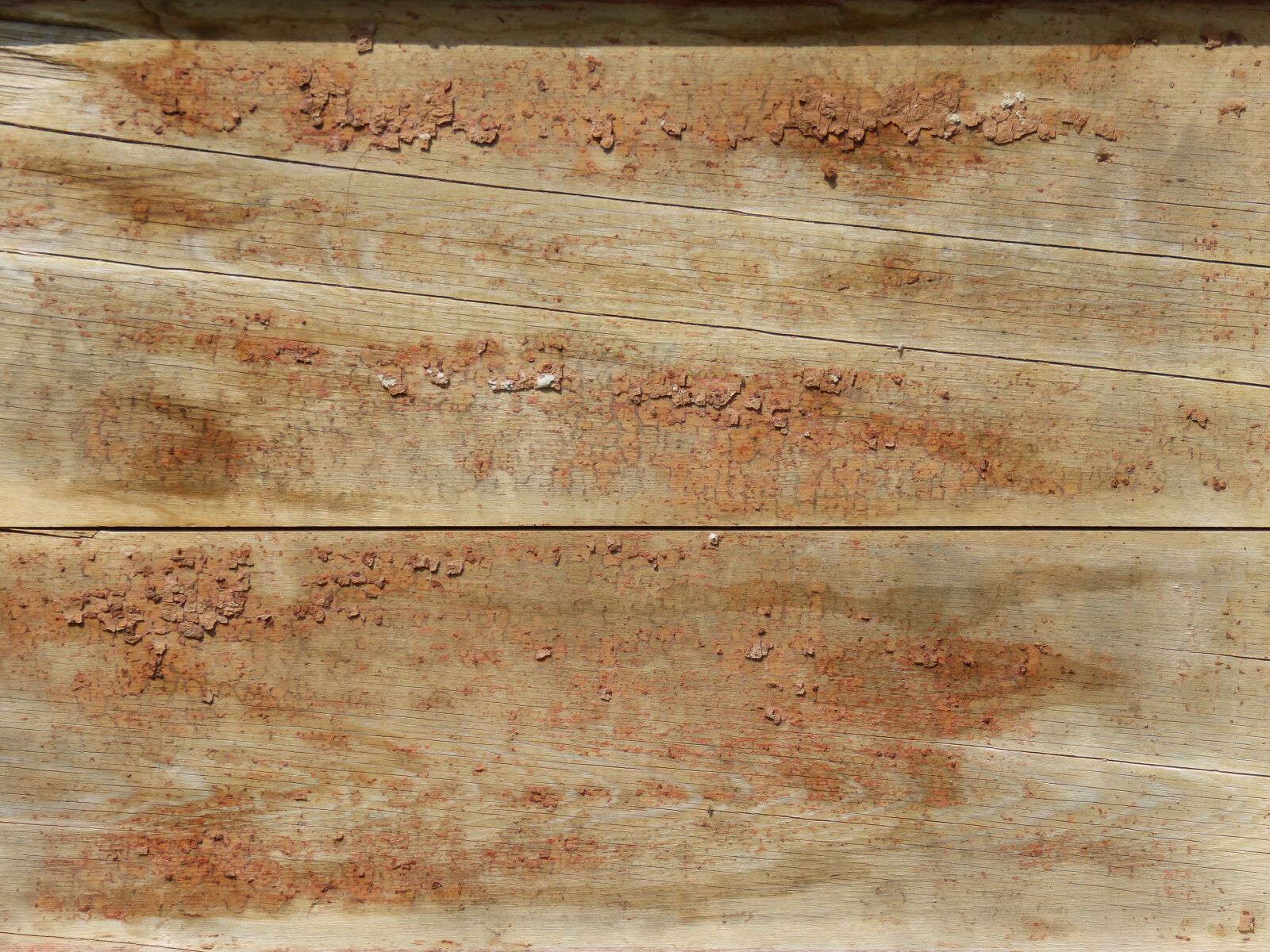 Panasonic DMC-FZ62 sample photo. Wood, background, texture photography