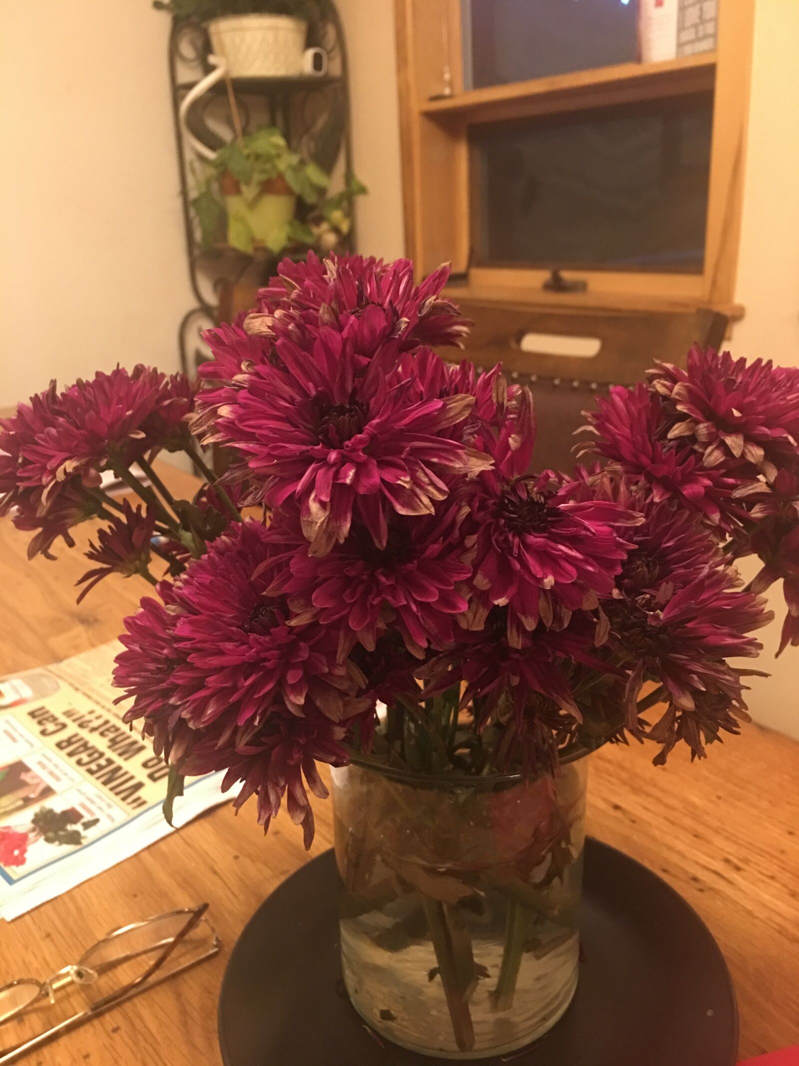 iPhone 6s Plus back camera 4.15mm f/2.2 sample photo. Flowers, flower arrangements, nature photography