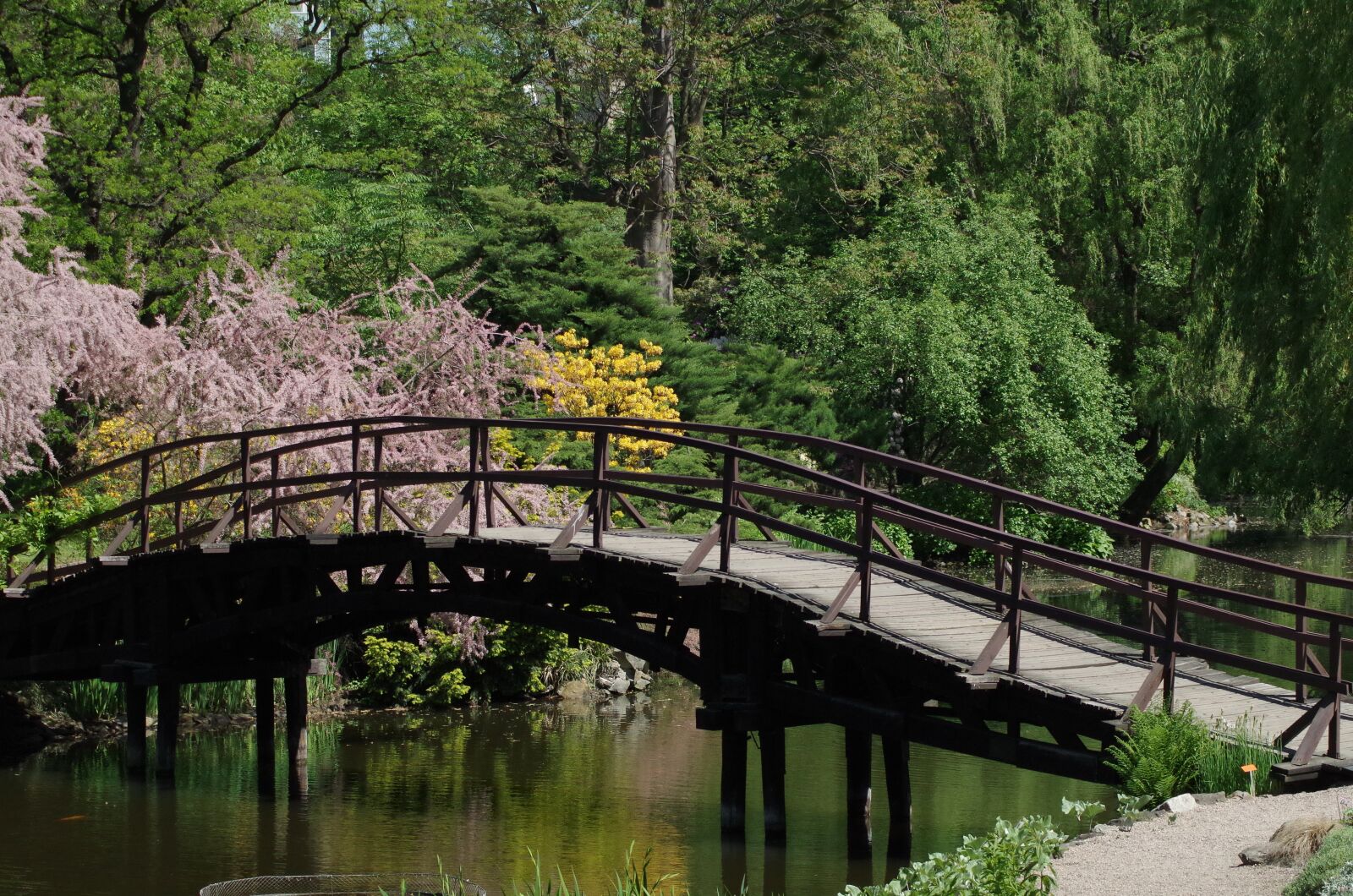 Pentax K-50 sample photo. The wooden bridge, garden photography