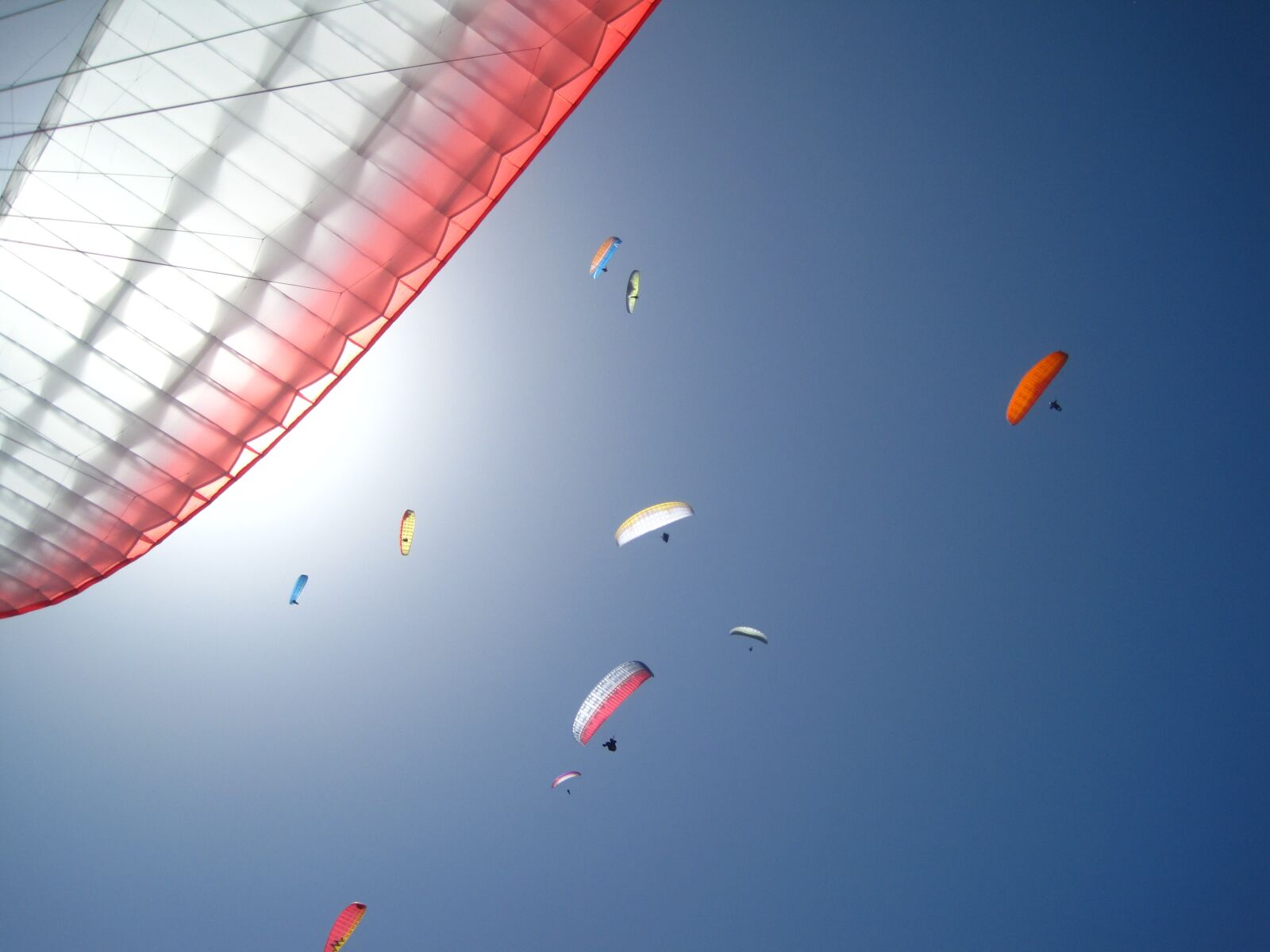 Canon PowerShot SD1200 IS (Digital IXUS 95 IS / IXY Digital 110 IS) sample photo. Paragliding, sky, freedom photography