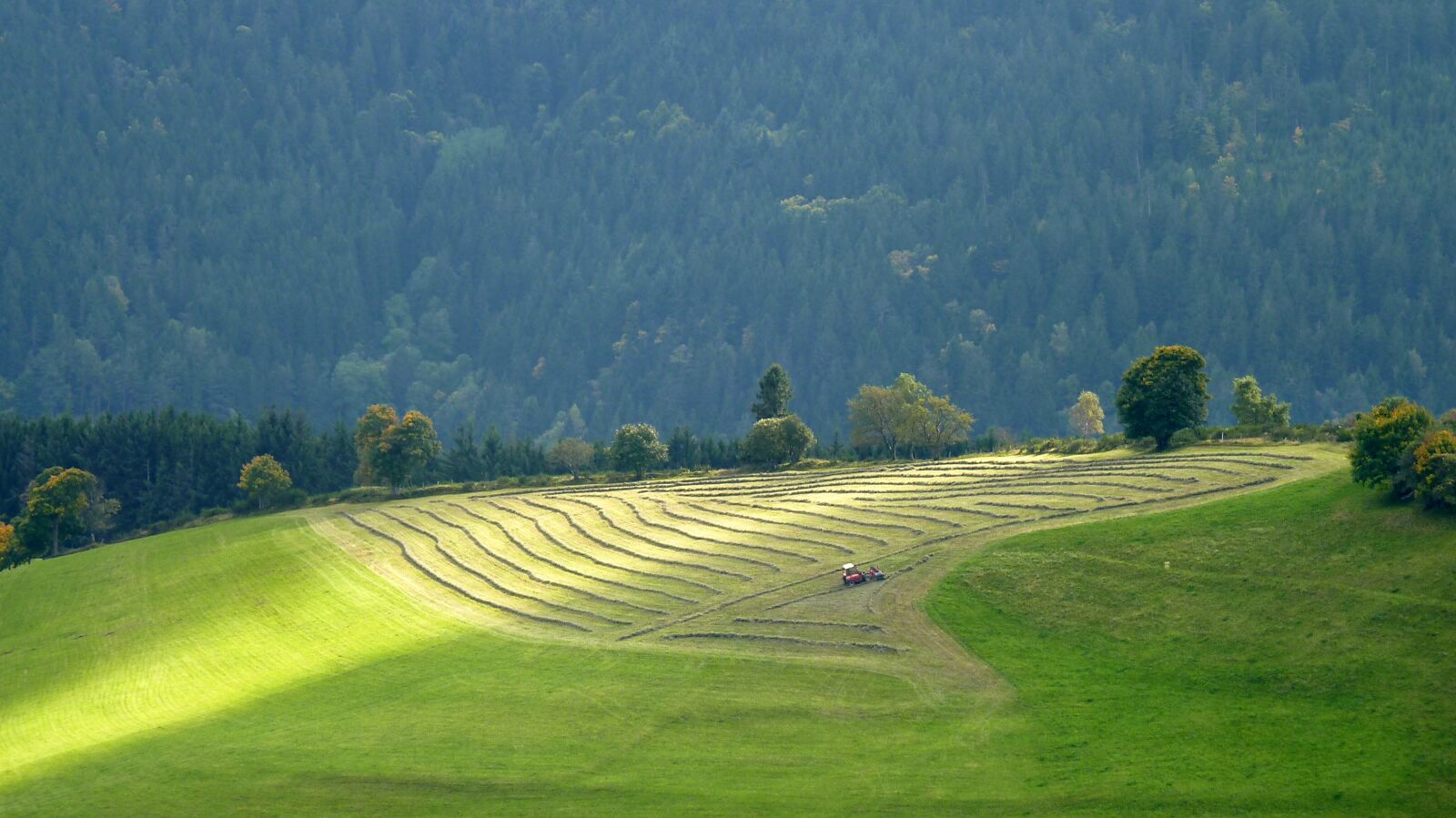 Panasonic Lumix DMC-FZ35 (Lumix DMC-FZ38) sample photo. Vosges, fields, landscape photography