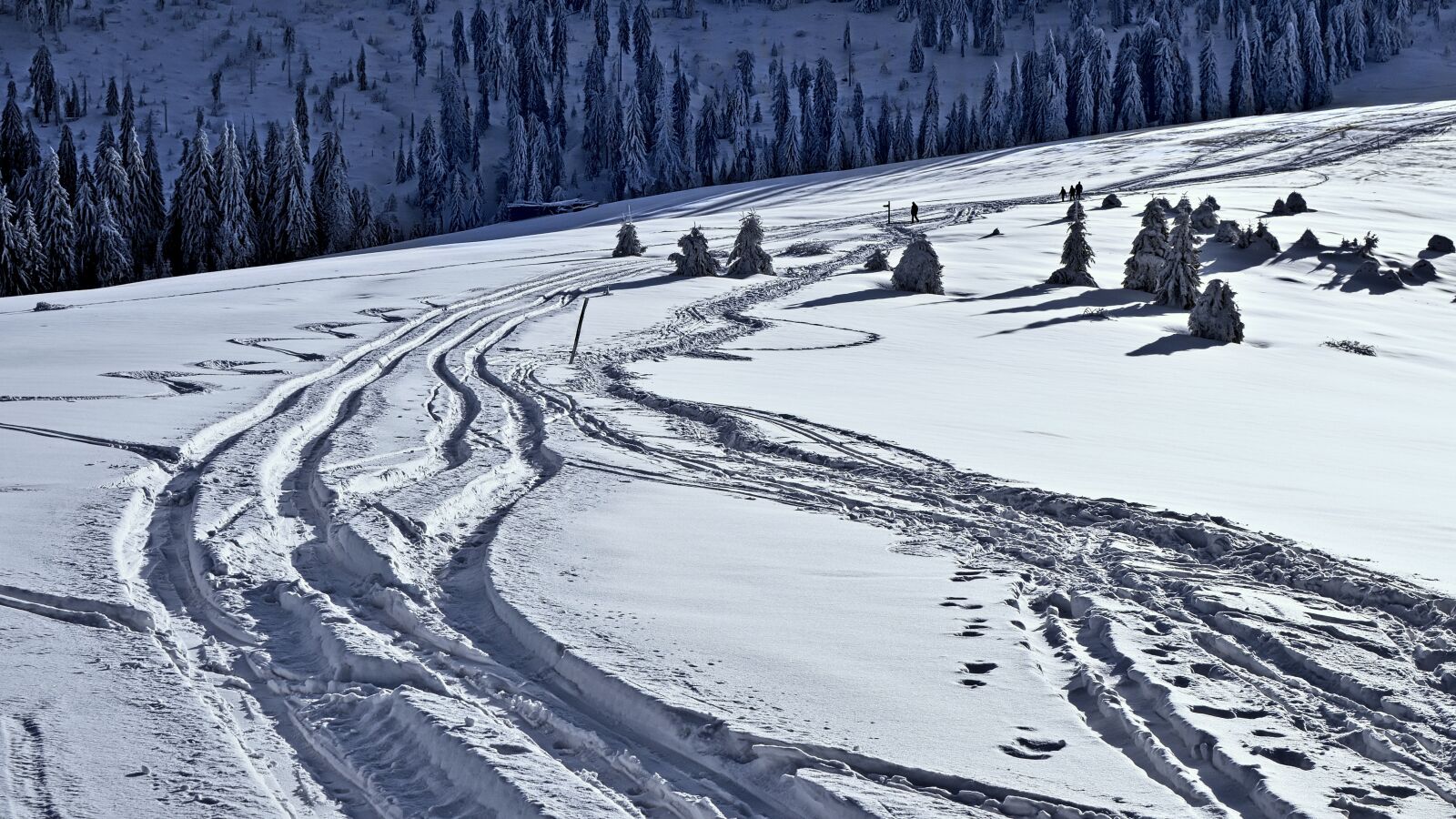 Nikon D7000 sample photo. Winter, way, traces photography