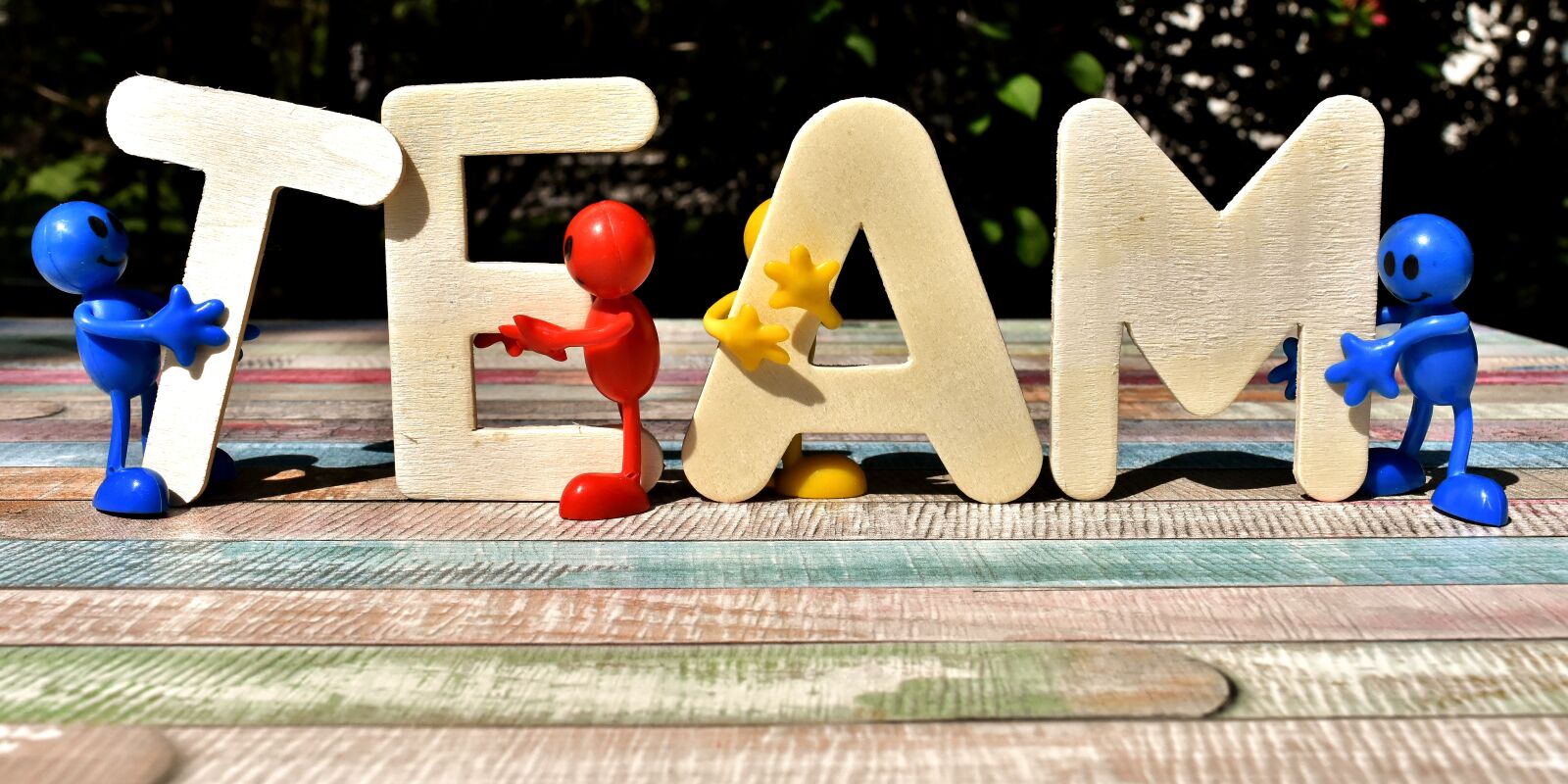Nikon D7200 sample photo. Team, teamwork, together photography