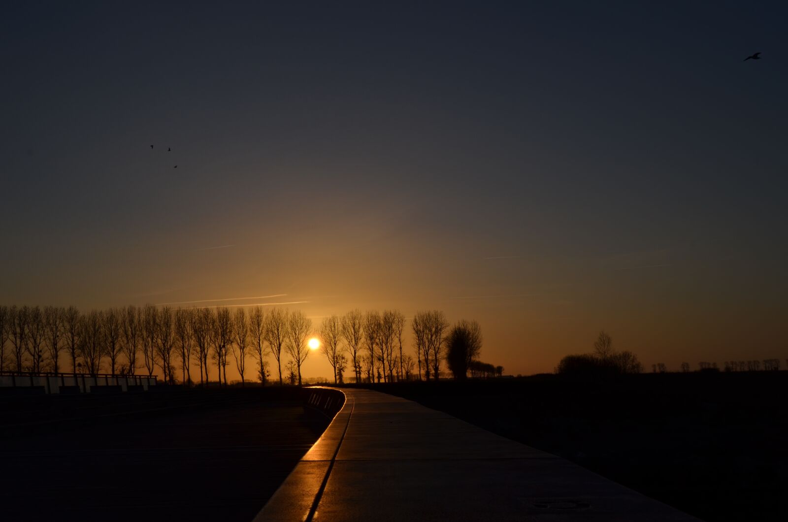 Nikon D5100 sample photo. Sun, sunset, europe photography
