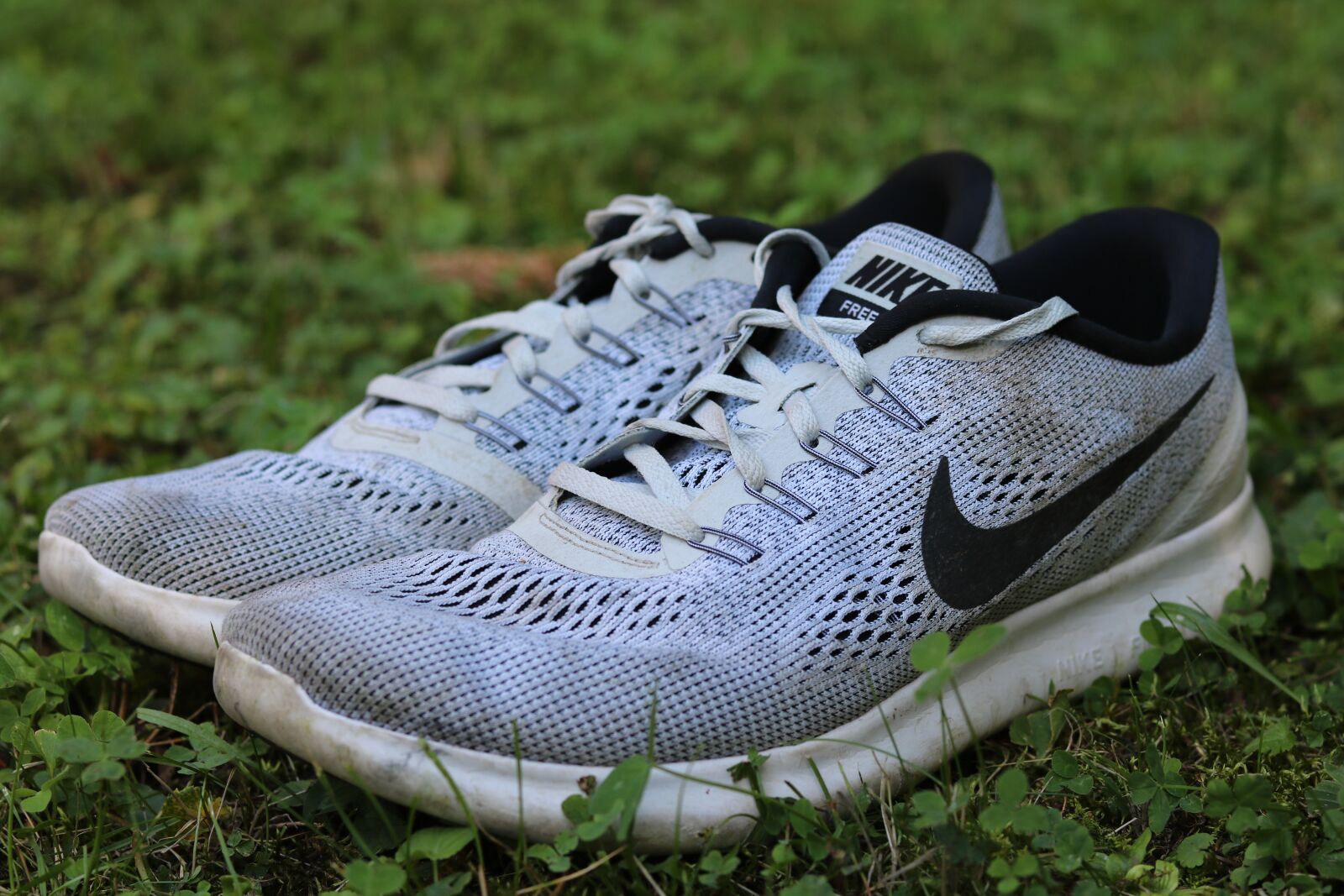 Canon EOS 750D (EOS Rebel T6i / EOS Kiss X8i) sample photo. Nike, movement, leisure photography