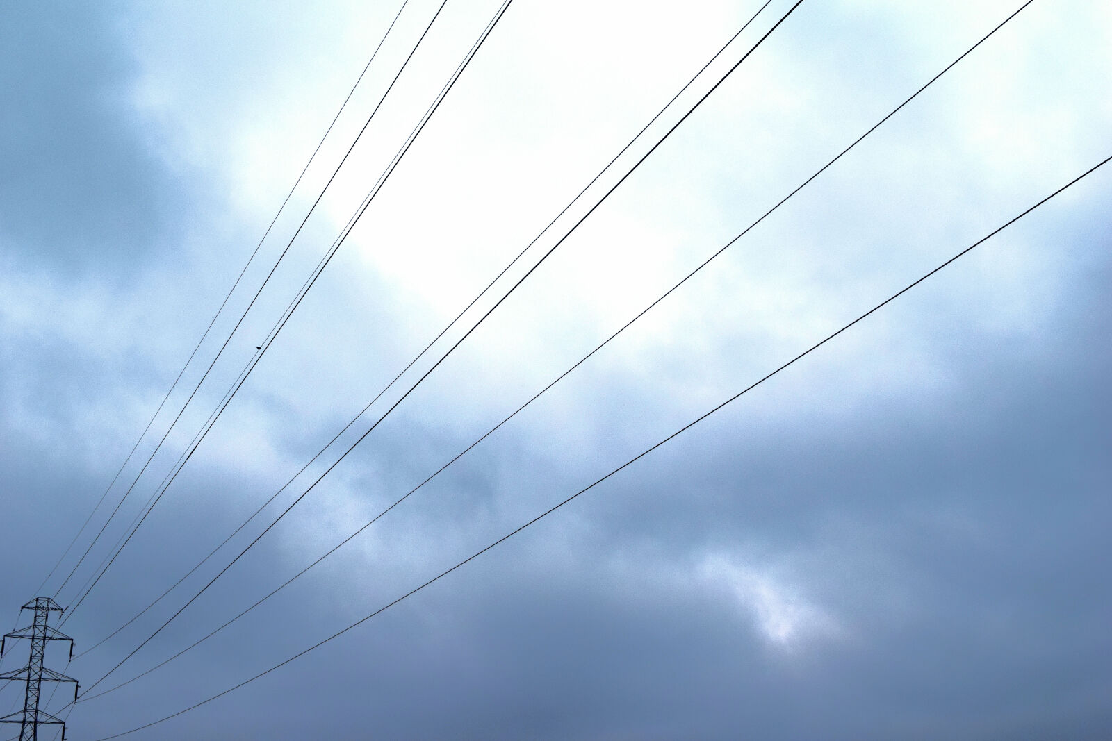 Nikon D3300 sample photo. Electricity, sky, wires photography