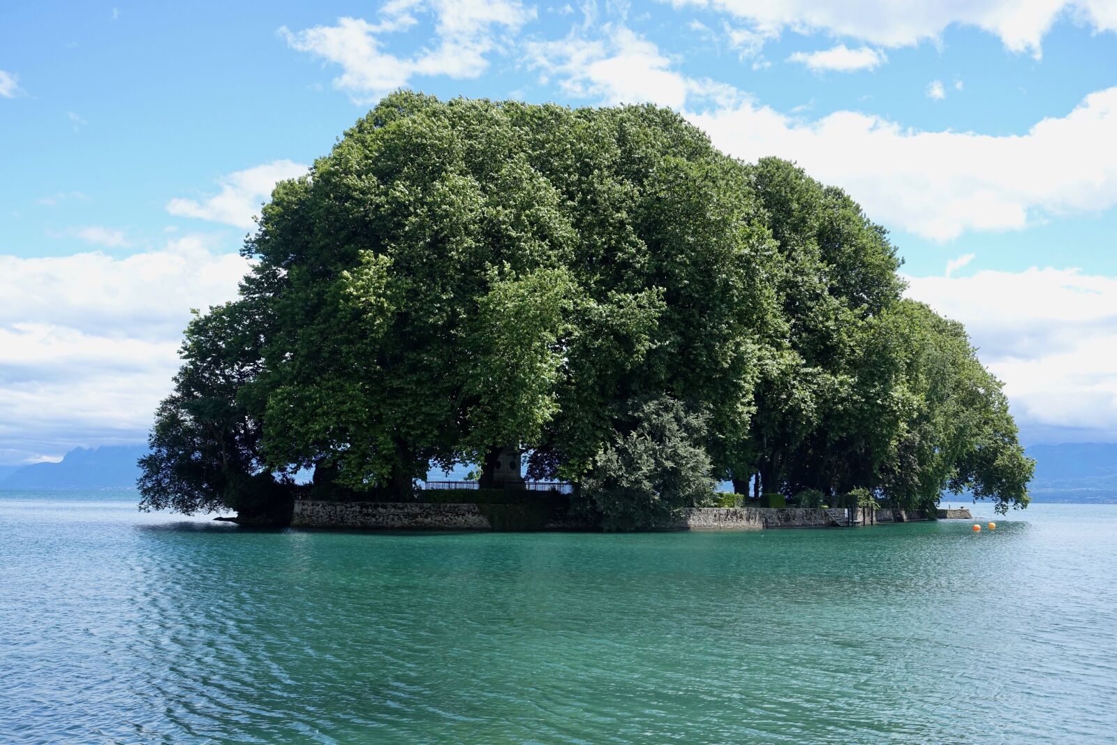 Sony Cyber-shot DSC-RX100 III sample photo. Island, tree, water photography