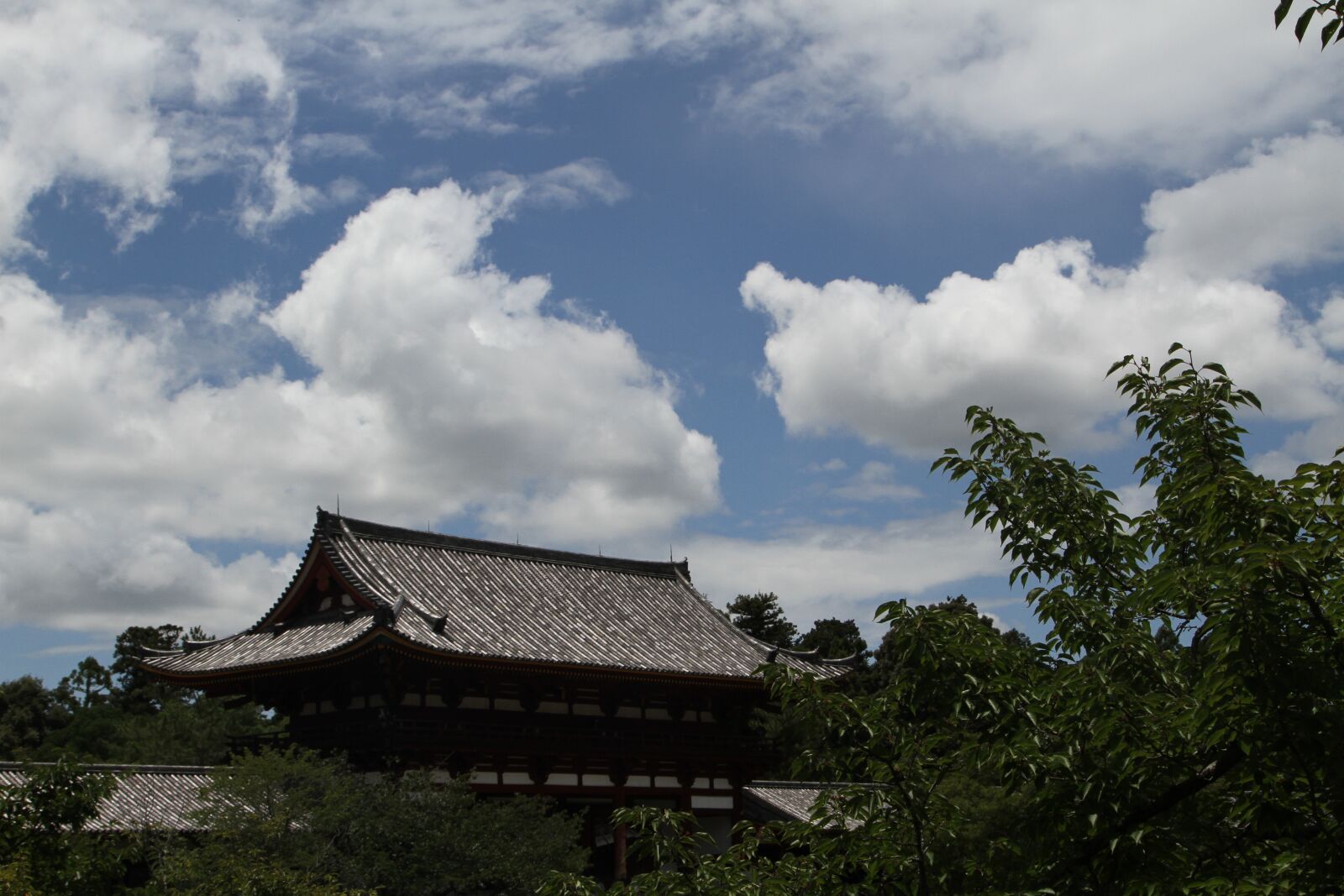 Canon EOS 7D sample photo. Sony blue, sky, nara photography