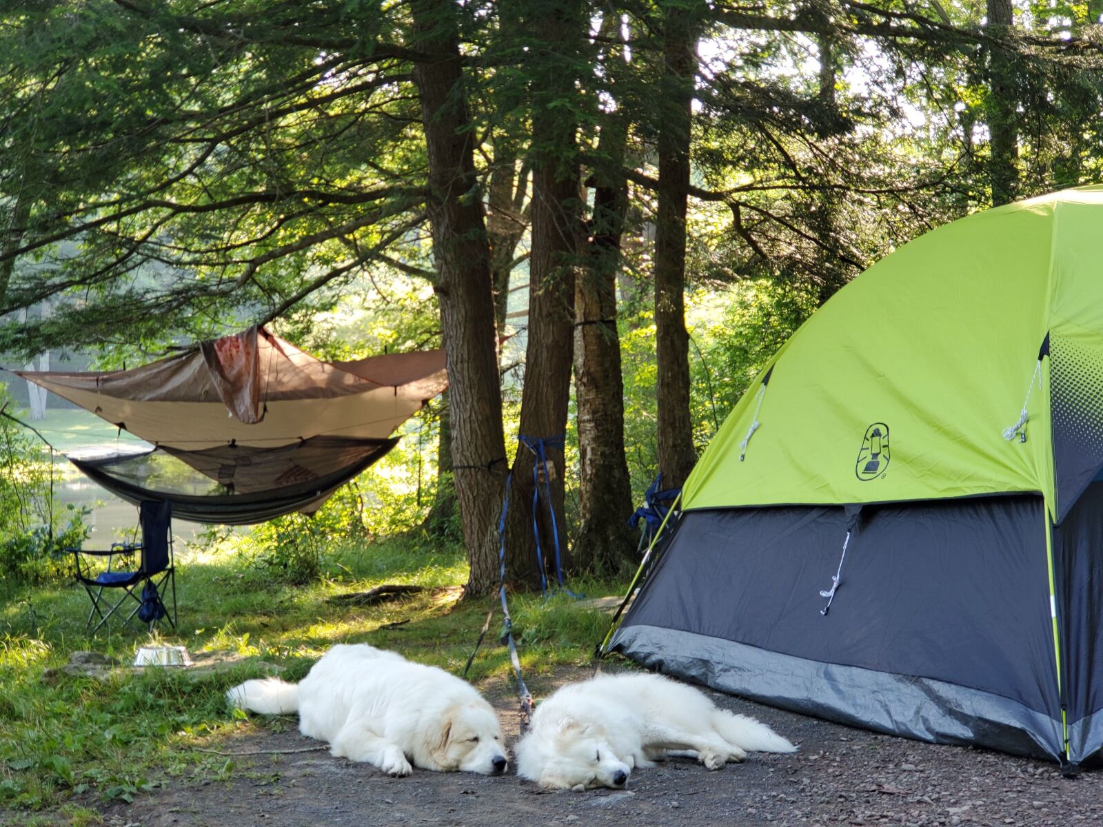 Samsung Galaxy S10 sample photo. Pyreneese, camping, hammock photography
