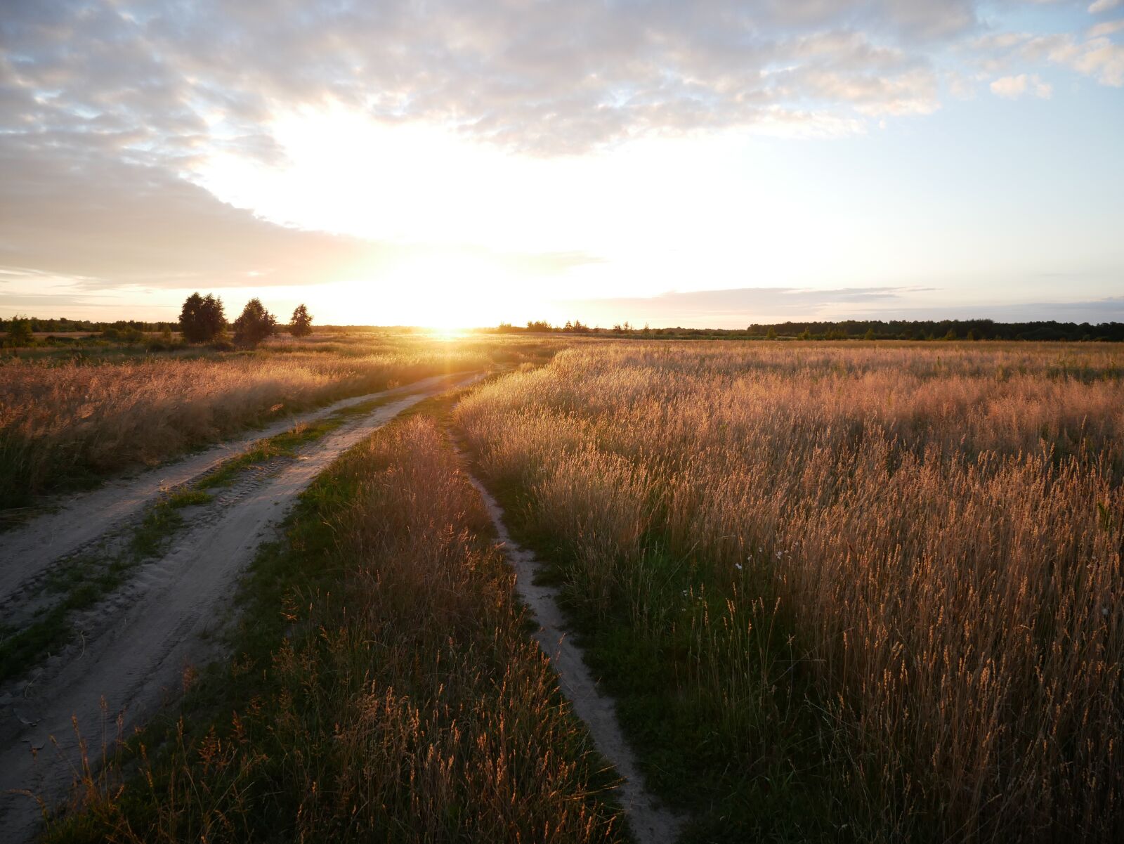 Panasonic Lumix DMC-G85 (Lumix DMC-G80) sample photo. Dawn, steppe, sun photography