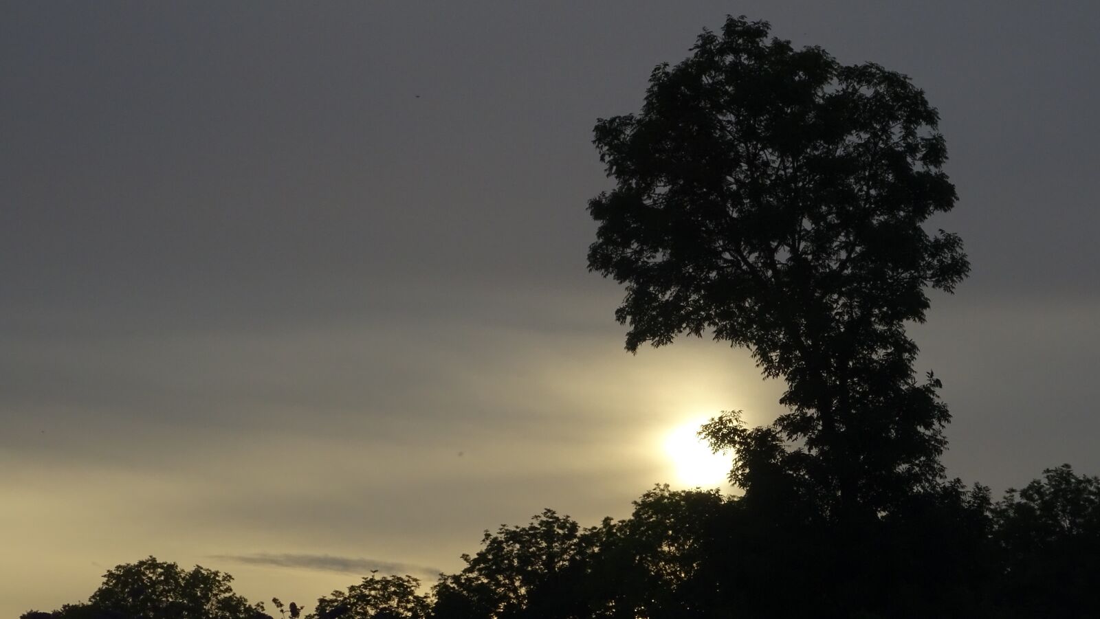 Sony DSC-HX60 sample photo. The sun, the background photography