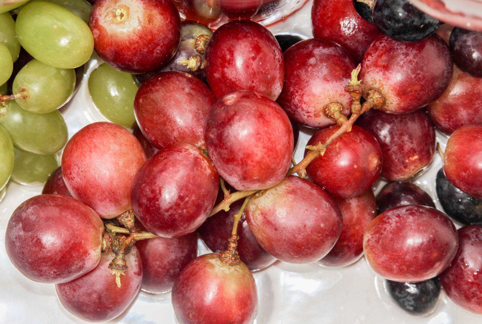 Canon EOS 1200D (EOS Rebel T5 / EOS Kiss X70 / EOS Hi) sample photo. Fruit, food, juicy photography