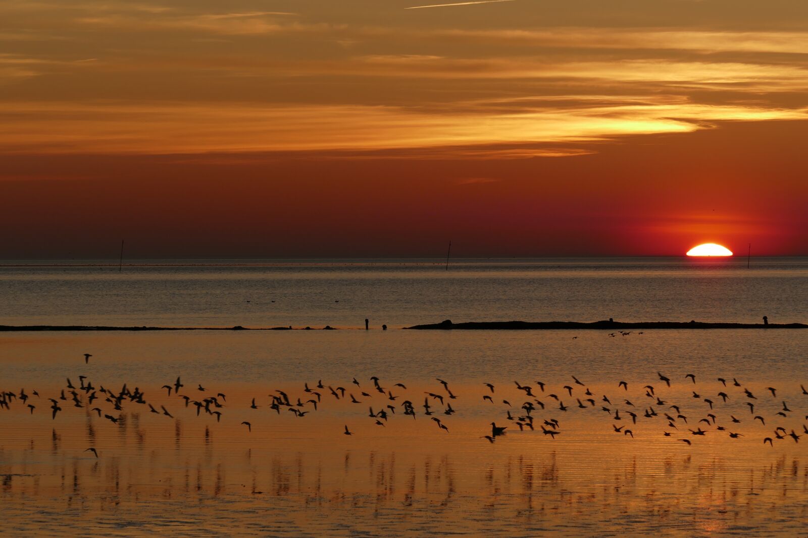 Panasonic Lumix DMC-FZ1000 sample photo. North sea, wadden sea photography