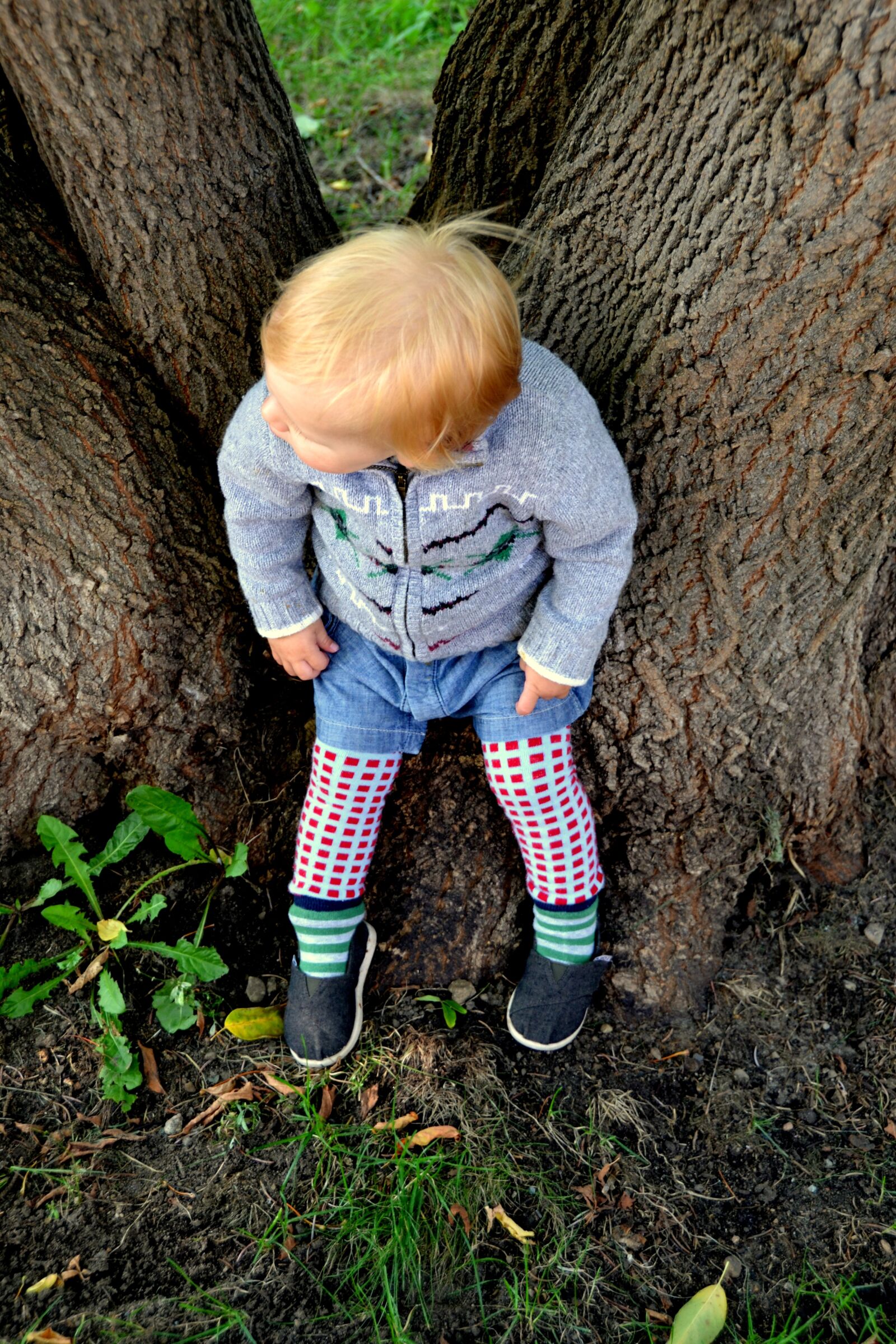 Nikon D3100 sample photo. Child, boy, tree photography