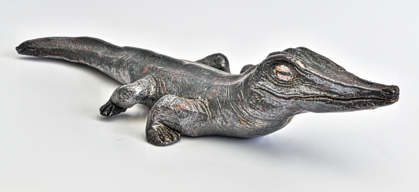 Panasonic Lumix DMC-FZ1000 sample photo. Crocodile, reptile, figure photography