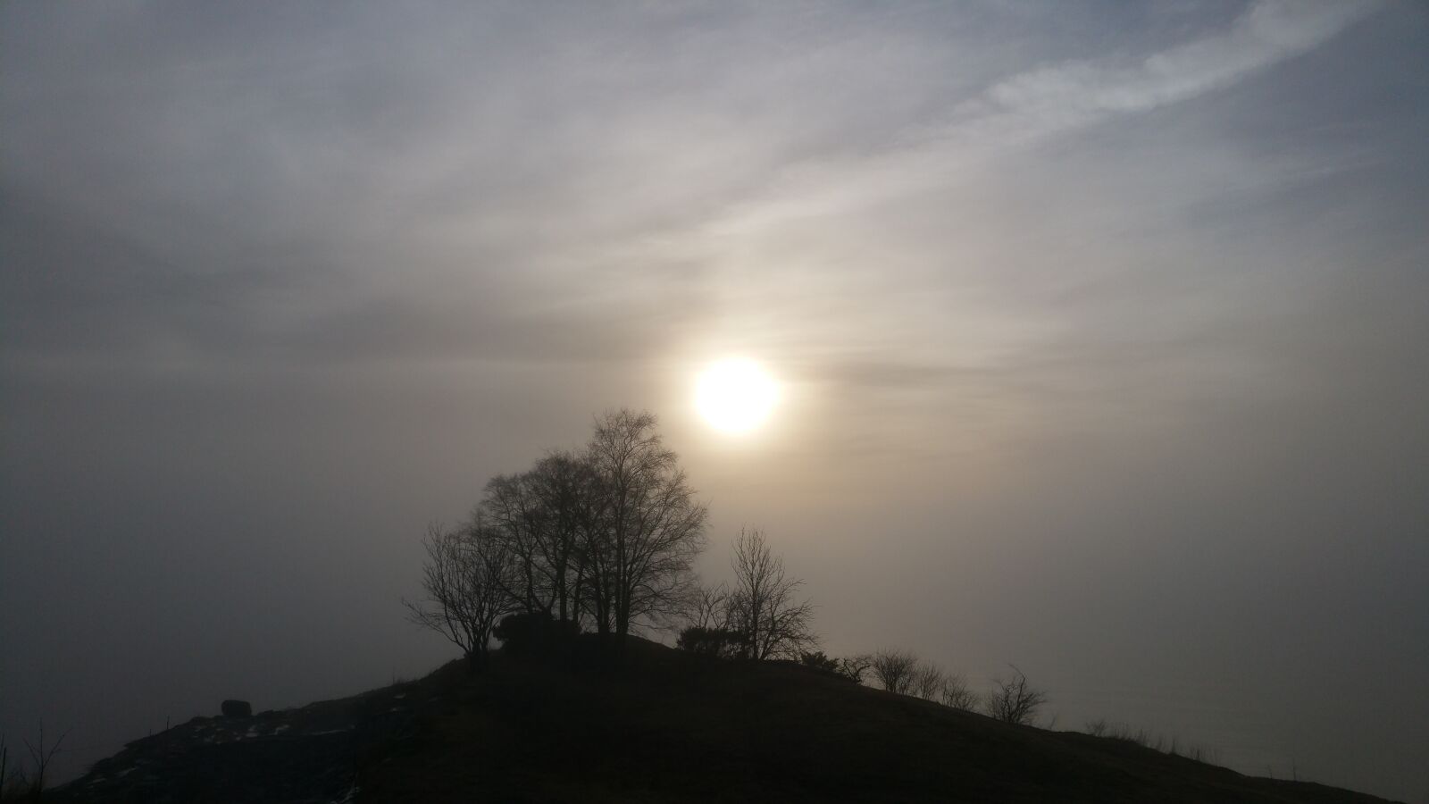 Samsung Galaxy S5 LTE-A sample photo. Fog, sun, nature photography photography