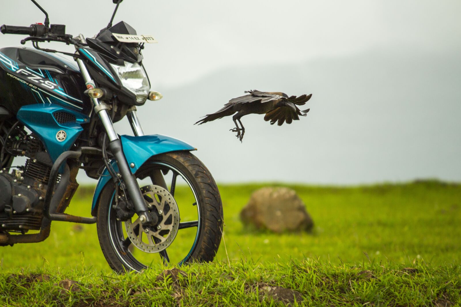 Canon EF-S 55-250mm F4-5.6 IS II sample photo. Bike, yamaha, crow photography