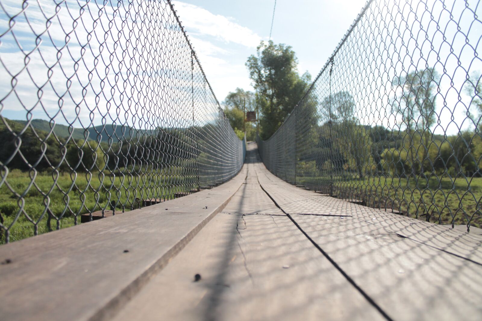 Canon EOS 1100D (EOS Rebel T3 / EOS Kiss X50) sample photo. Lines, order, grating photography