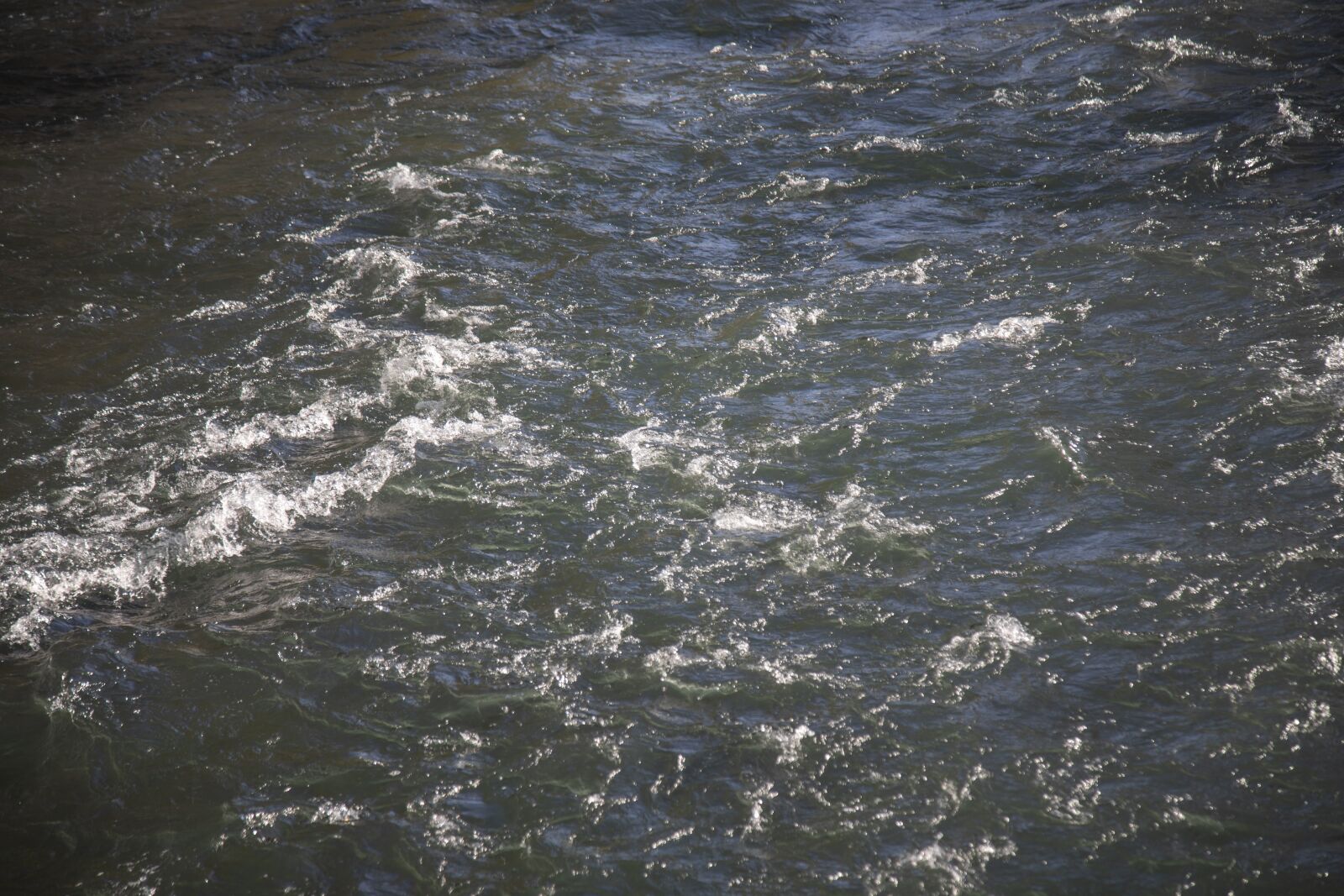 Canon EOS 5D Mark IV sample photo. Marine, dd, river photography