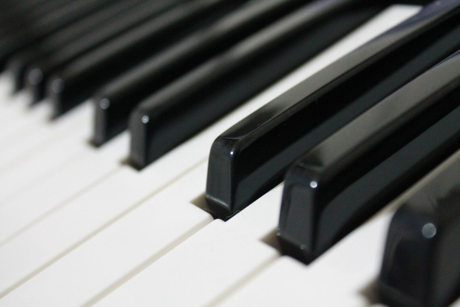 Canon EOS 1100D (EOS Rebel T3 / EOS Kiss X50) sample photo. Music, piano, keyboard photography