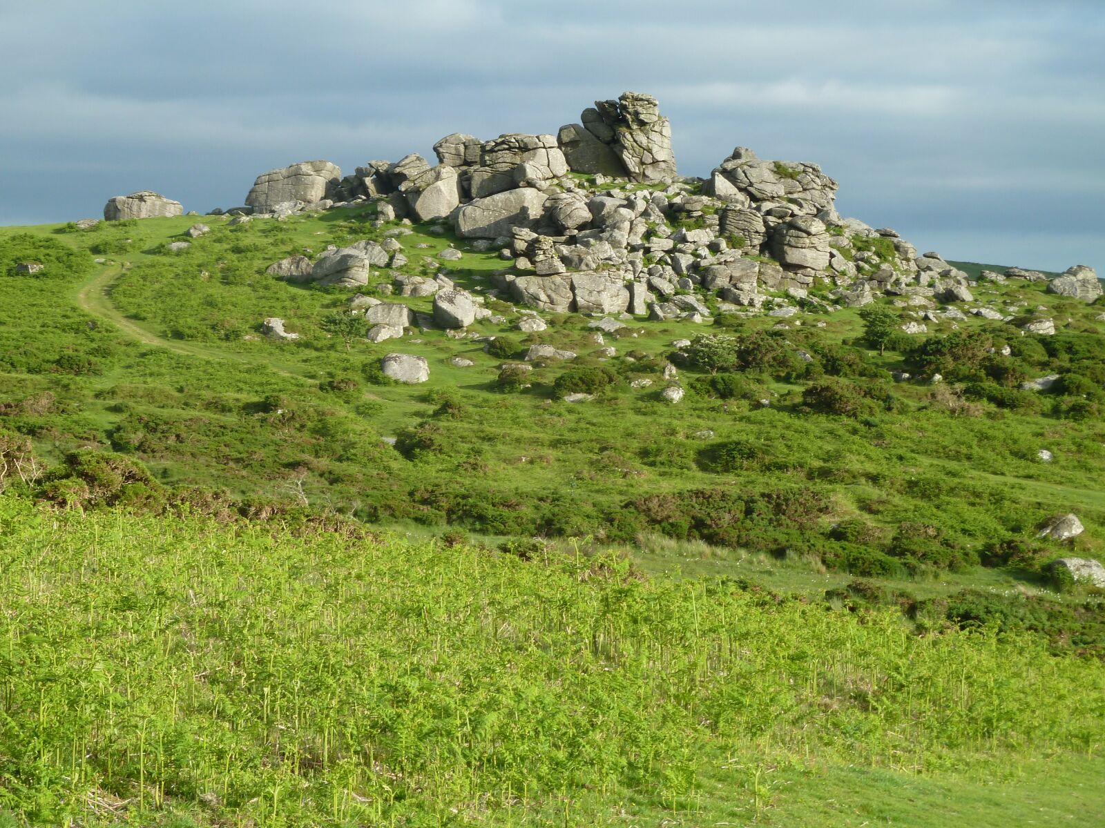 Panasonic Lumix DMC-ZS7 (Lumix DMC-TZ10) sample photo. Dartmoor, hill, devon photography