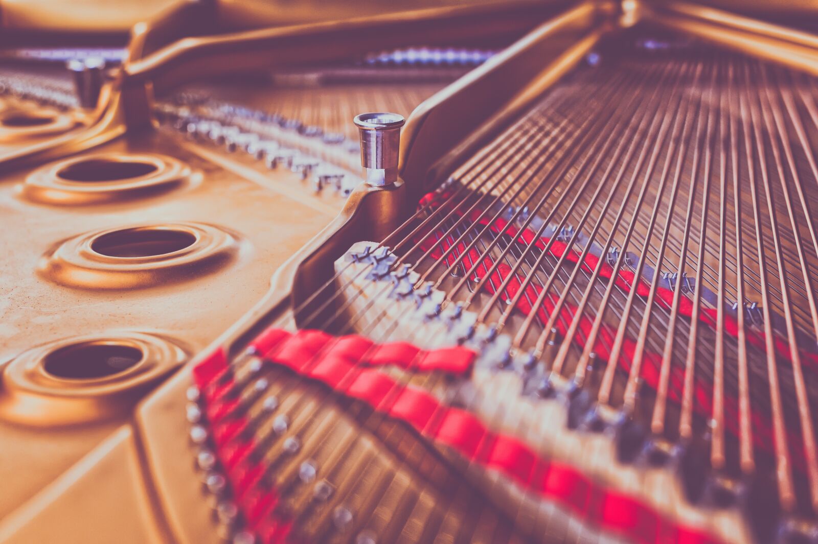 Nikon Z6 sample photo. Piano, strings, close up photography