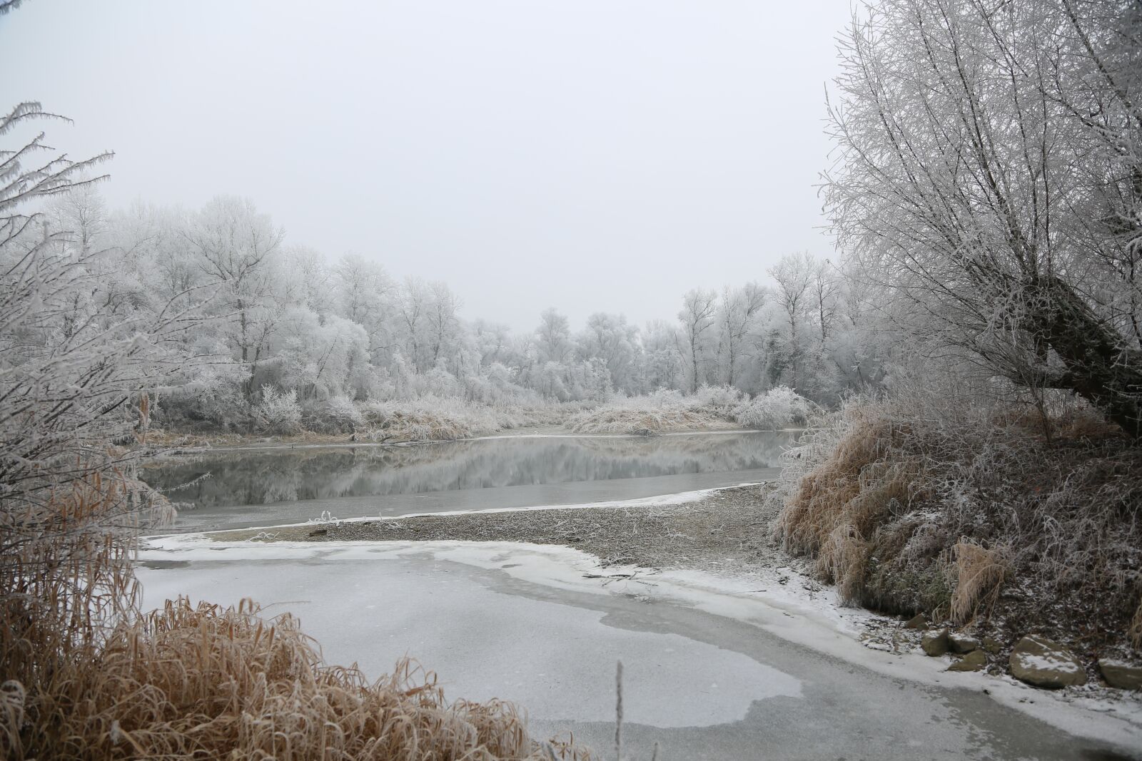 Canon EF 24-105mm F4L IS USM sample photo. Ripe, hoarfrost, winter motif photography