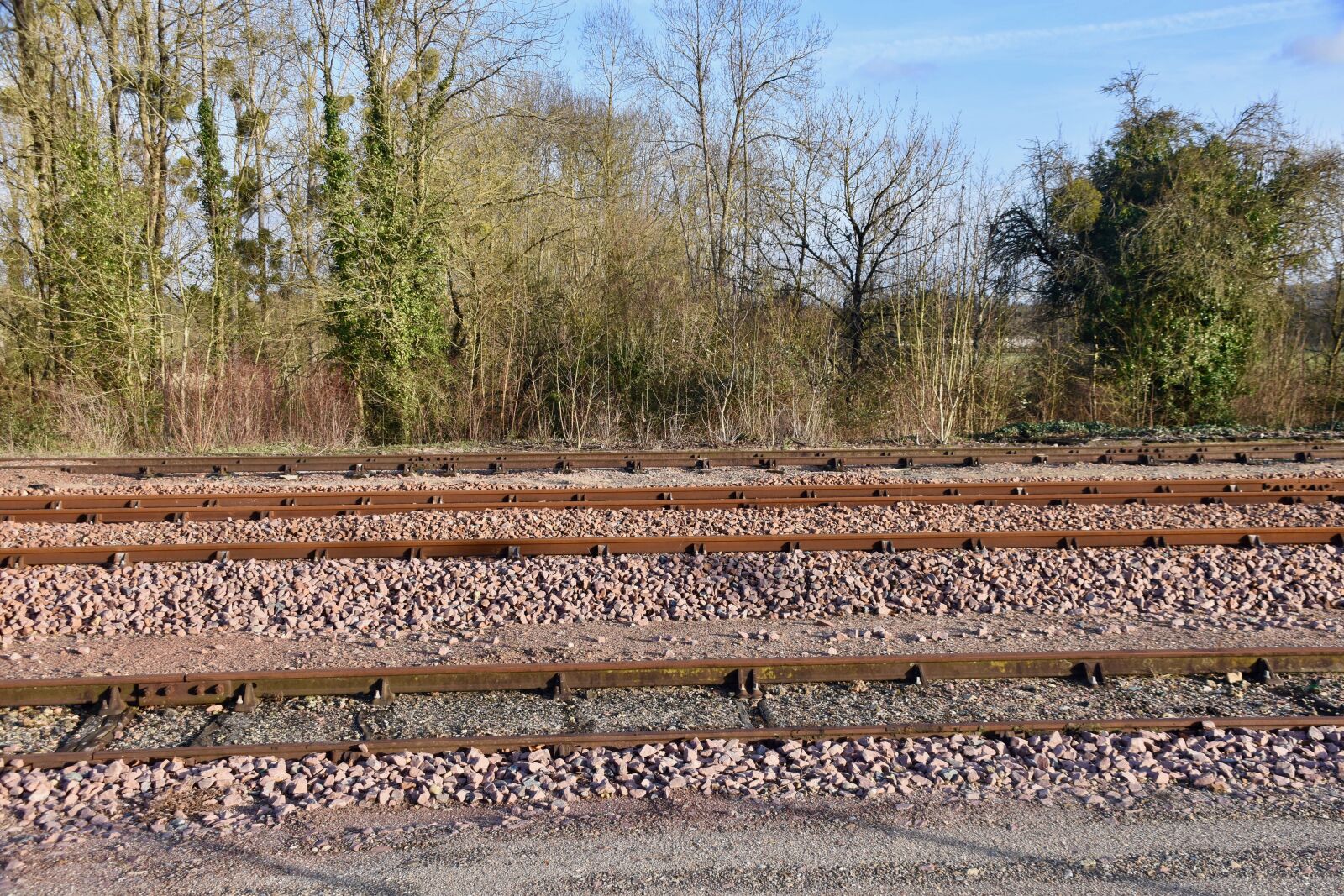 Nikon D5600 sample photo. Railway rails, railways, pathways photography