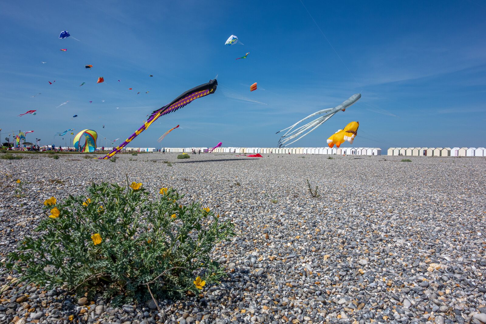 Sony Cyber-shot DSC-RX100 sample photo. Kite, festival, beach photography