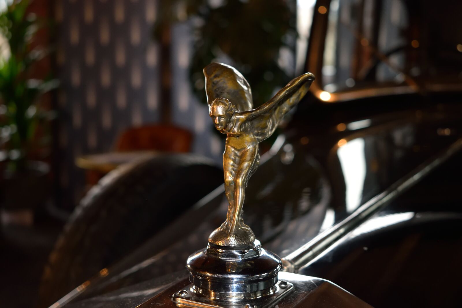 Nikon D3300 sample photo. Antique, car, jaguar photography