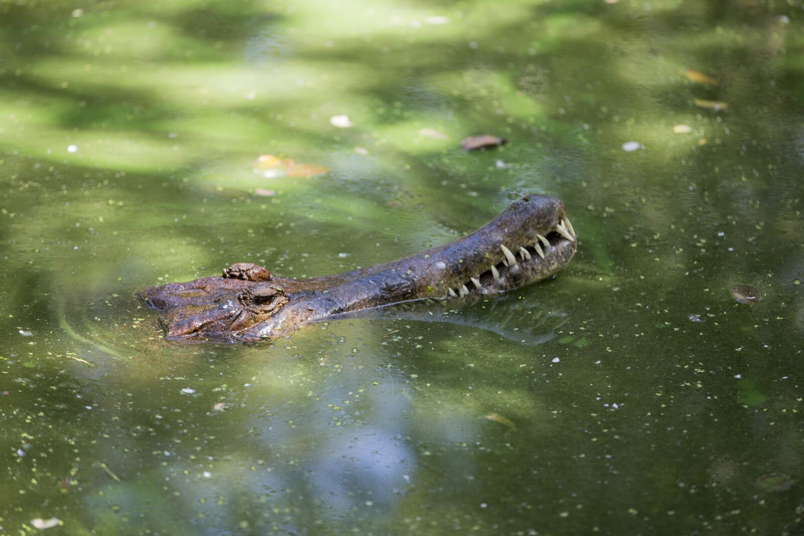 Canon EOS 5D Mark III sample photo. Body of water, nature photography