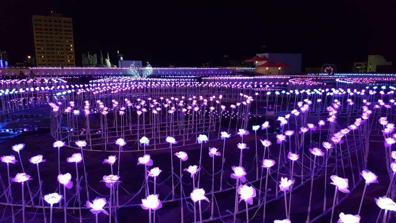 Samsung Galaxy S6 sample photo. Lights, roses, led photography