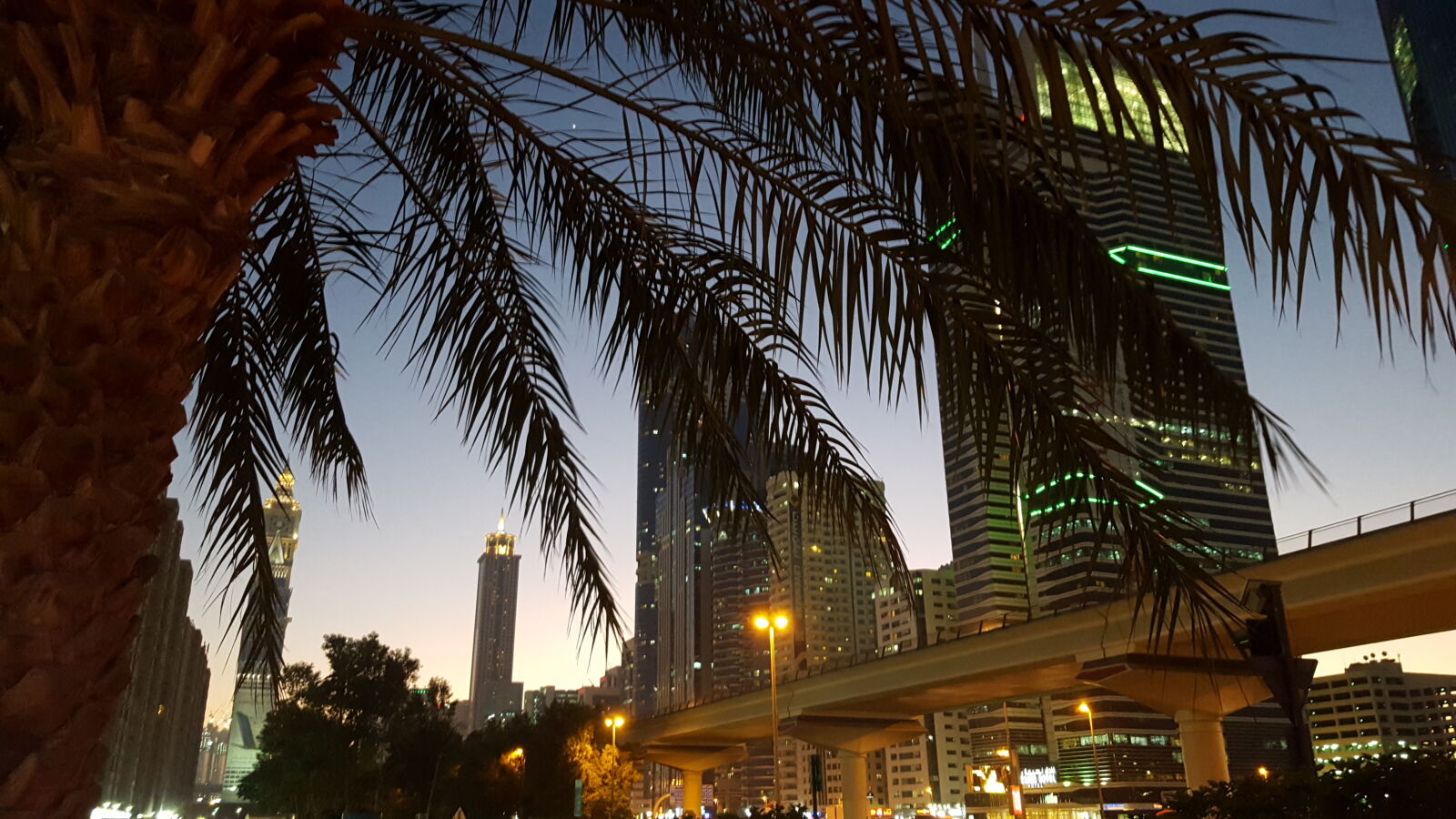 Samsung GALAXY S6 edge sample photo. City, tree, colors, lights photography