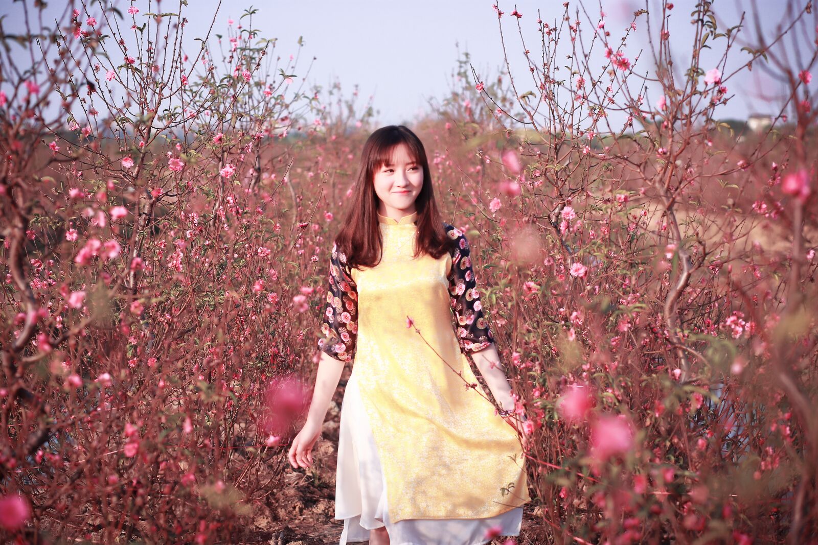 Canon EF 85mm F1.8 USM sample photo. Nature, flower, tree photography