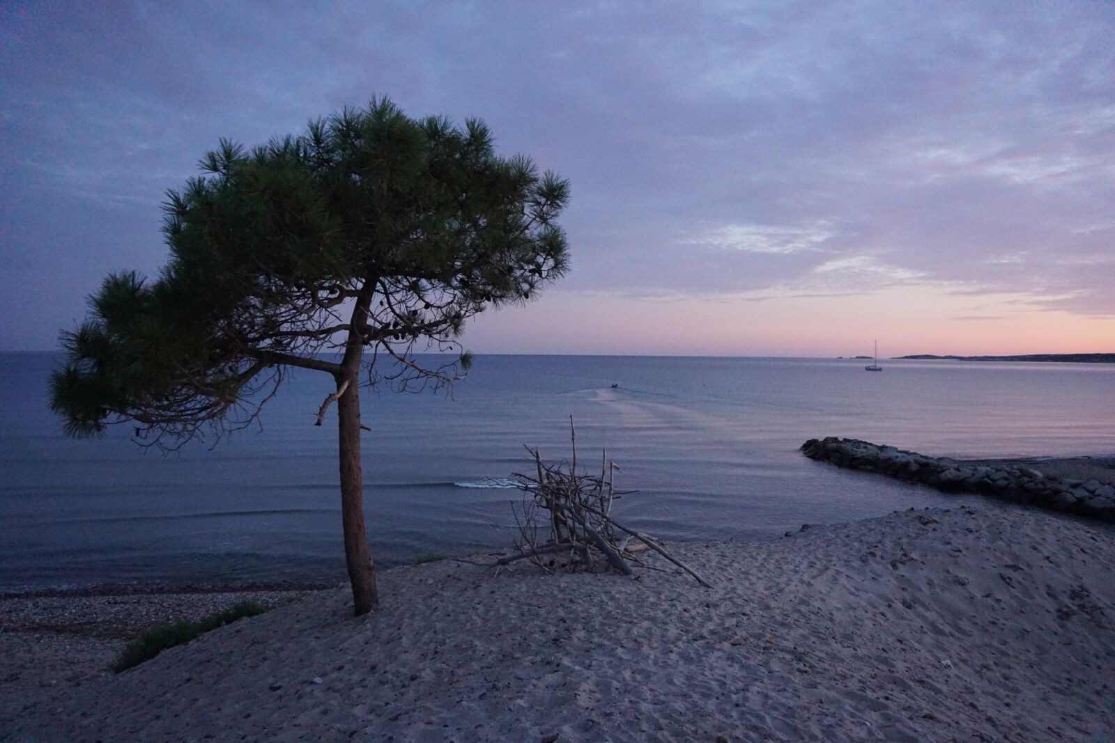 Sony a6000 sample photo. Tree, beach, sunrise photography