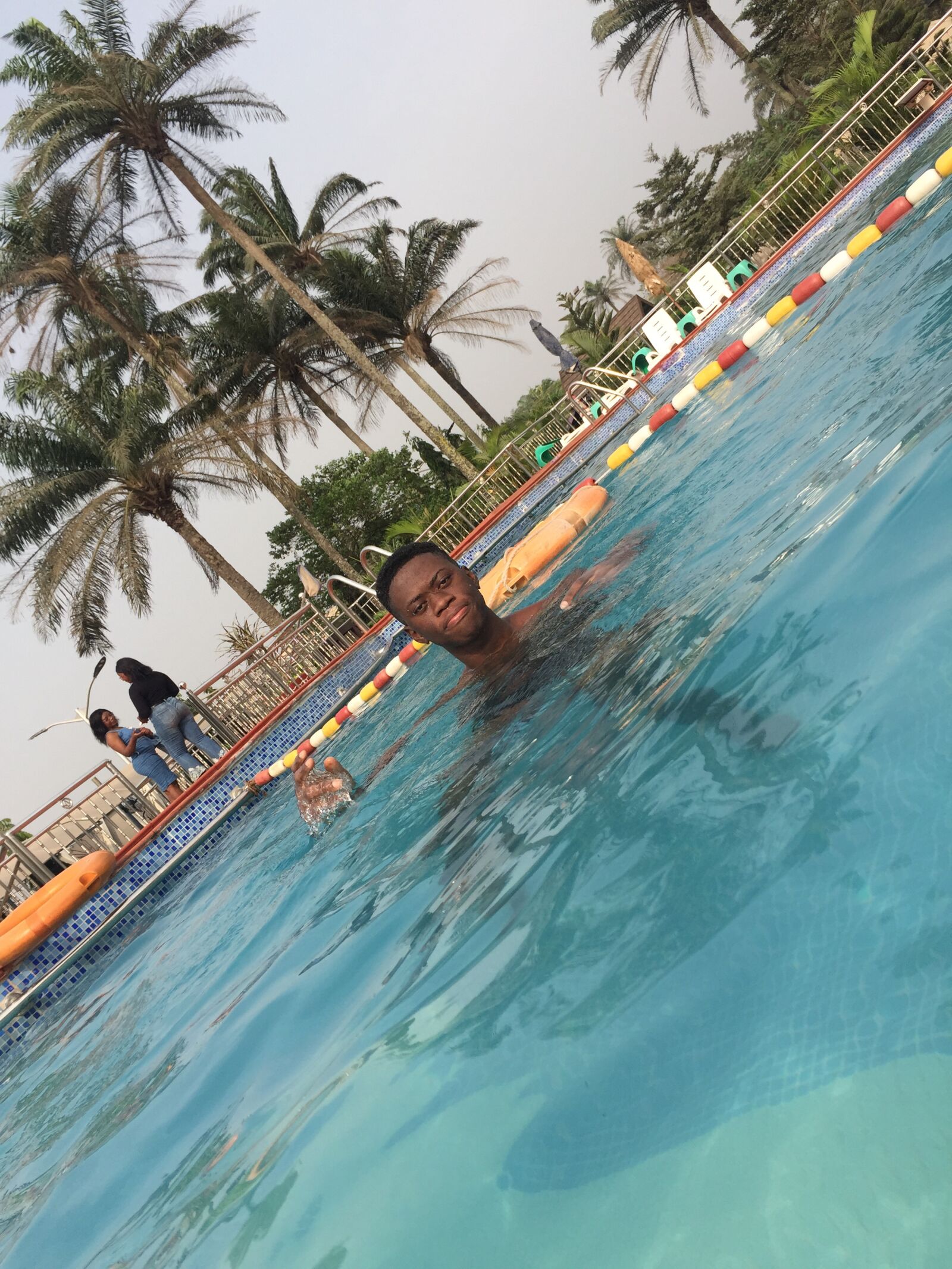 Apple iPhone 6 sample photo. Palm, tree, life photography