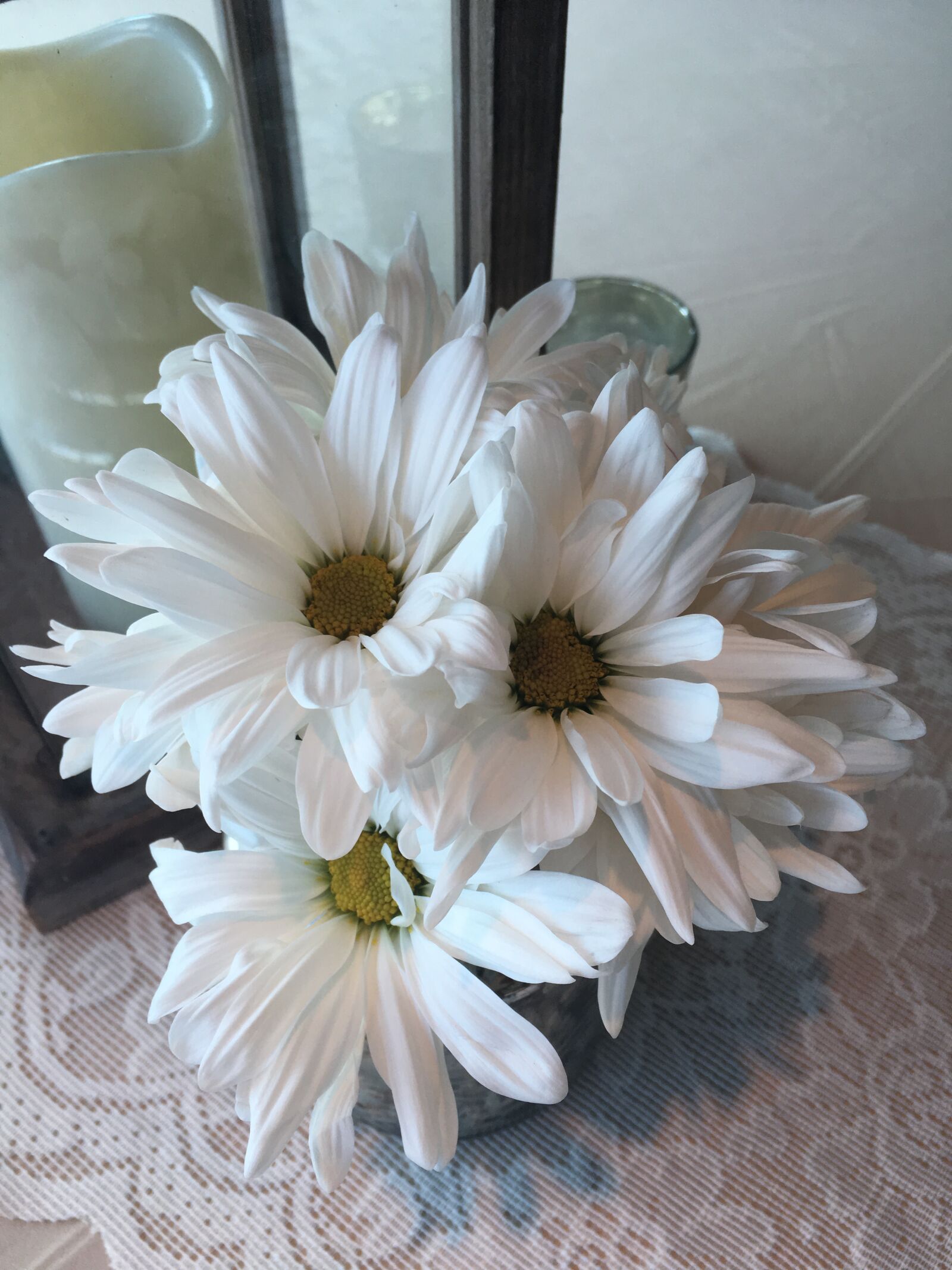 Apple iPhone 6s sample photo. White daisy, flower, center photography