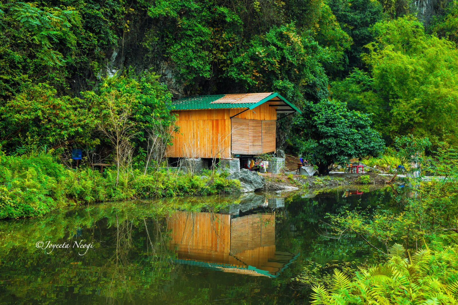 Nikon D5300 sample photo. Wood, nature, water photography