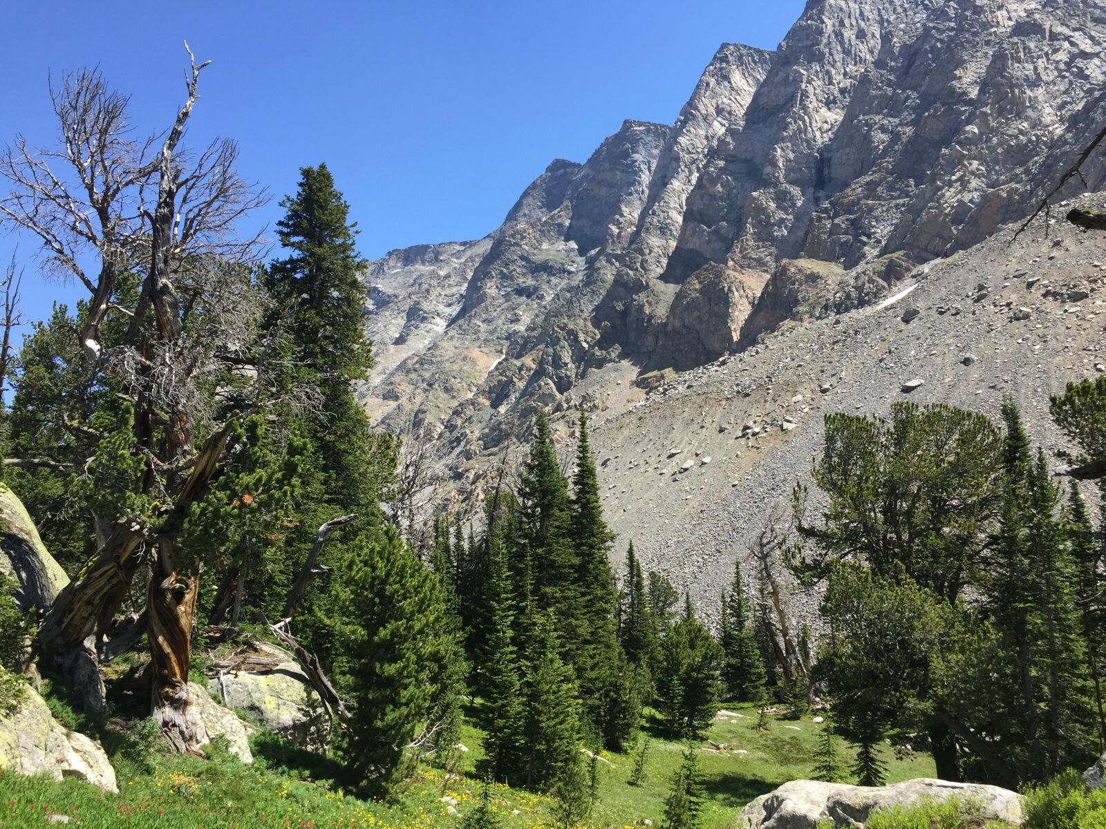 Apple iPhone 6 sample photo. Landscape, montana, trip photography