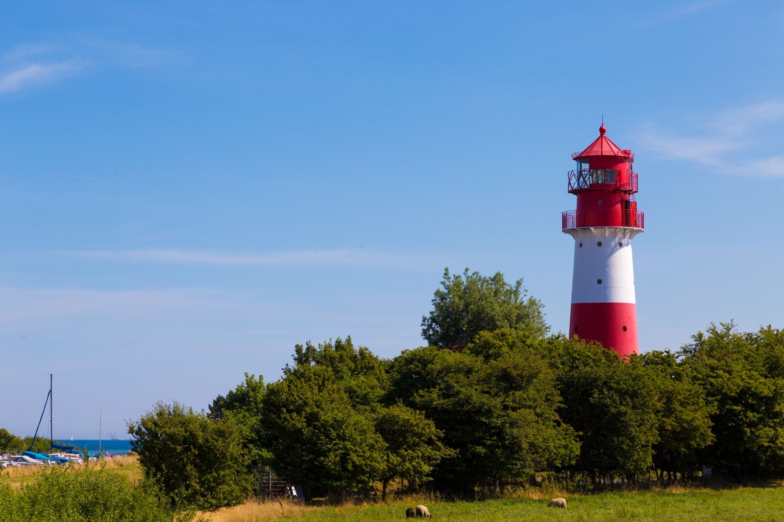 Canon EOS 6D + Canon EF 24-105mm F4L IS USM sample photo. Lighthouse, forest, baltic sea photography