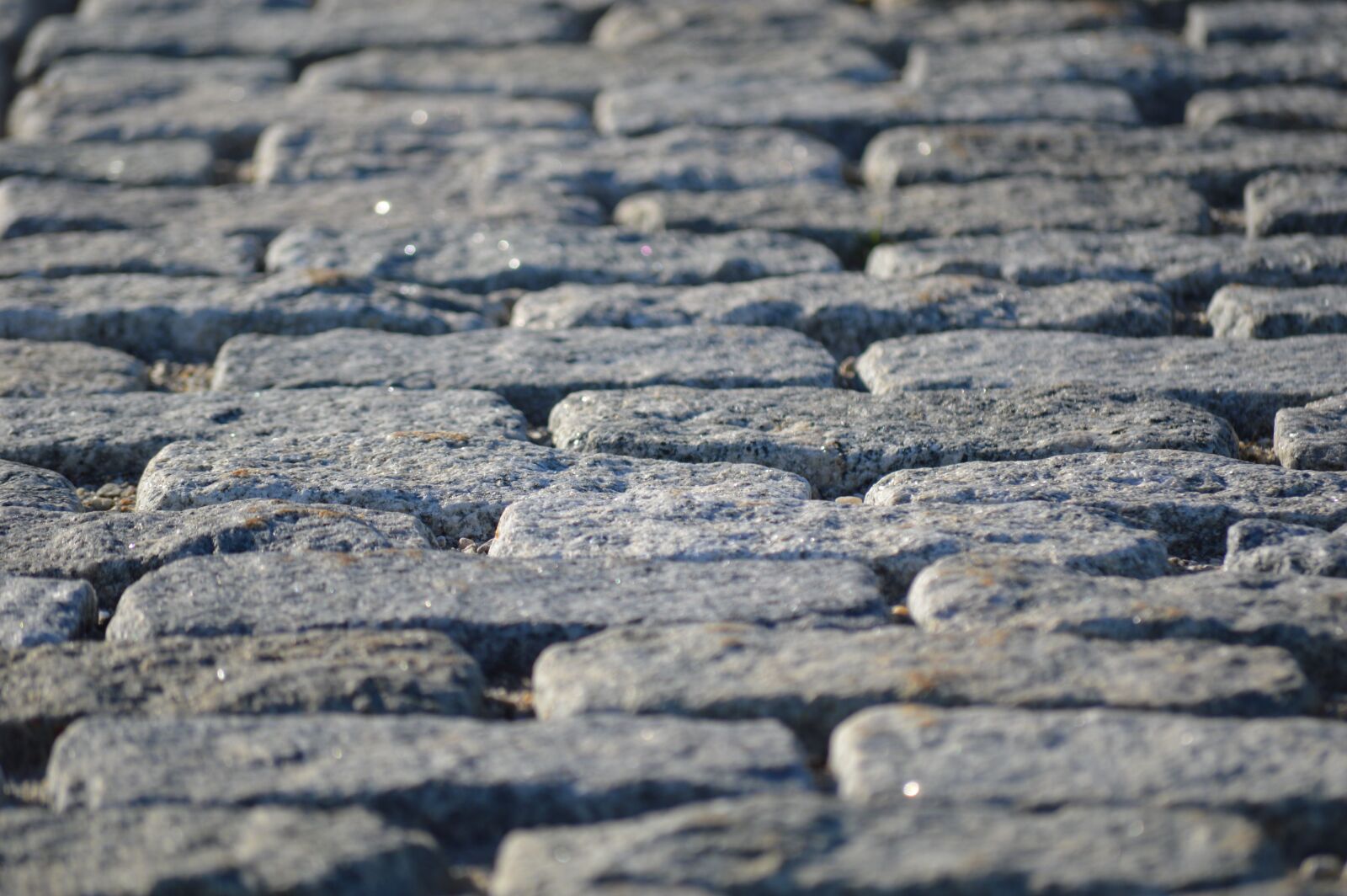 Nikon D3200 sample photo. Cobblestones, maine, street photography