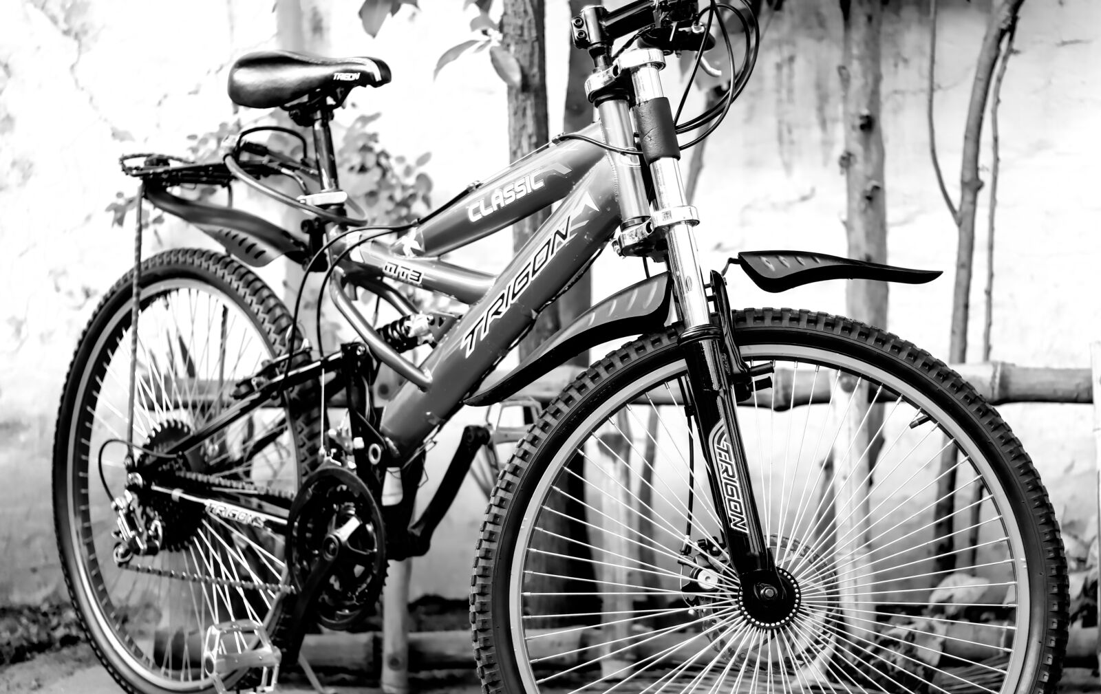 Canon EOS 70D sample photo. Bike, bicycle, two photography
