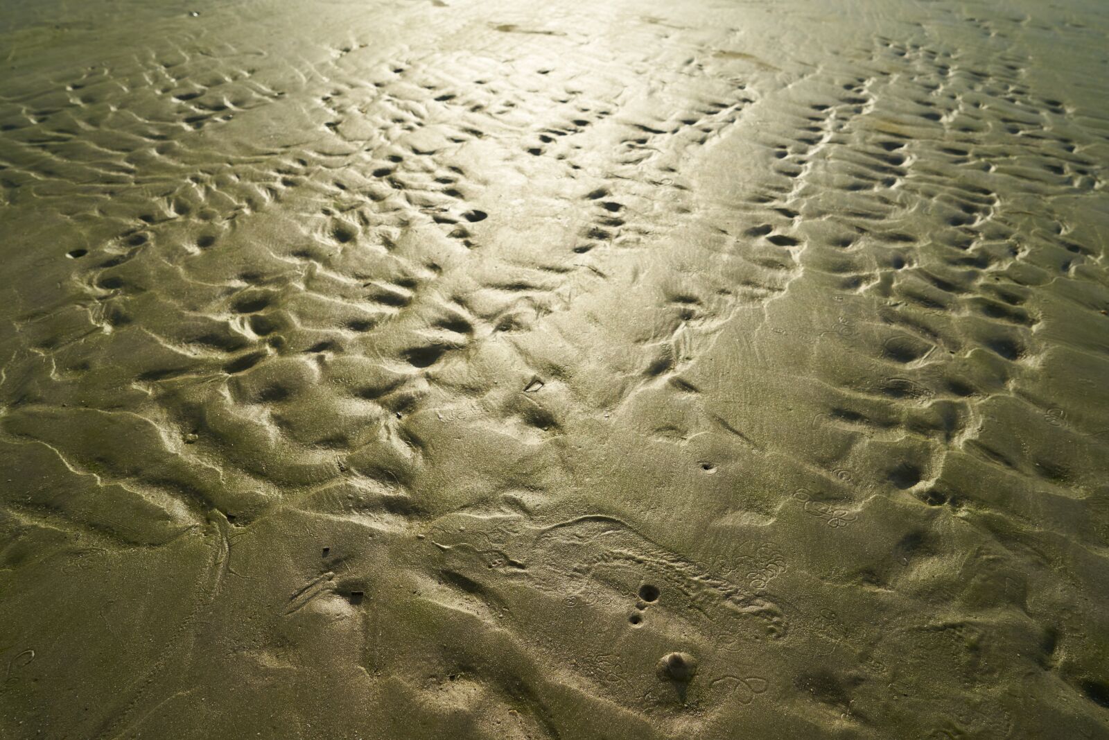 Sony a7R II sample photo. Sand, texture, light photography