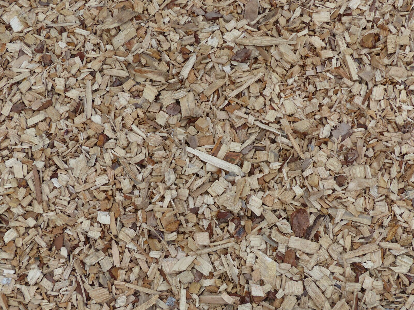 Panasonic Lumix DMC-FZ200 sample photo. Wood, holzspänne, background photography