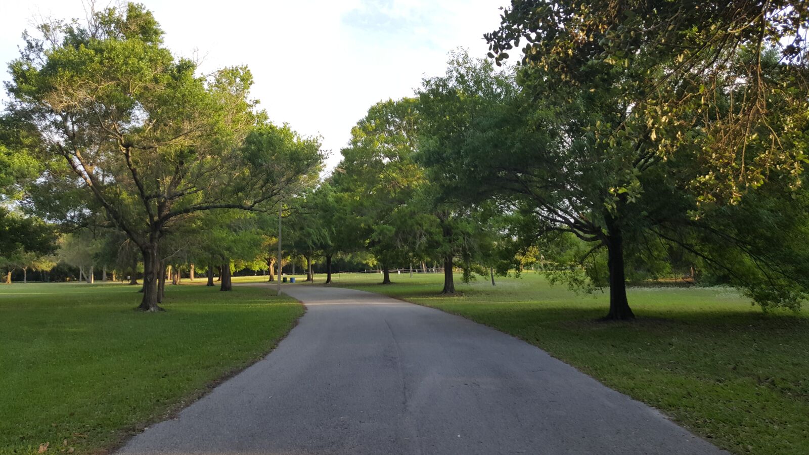 Samsung Galaxy Note5 sample photo. Park, green, nature photography