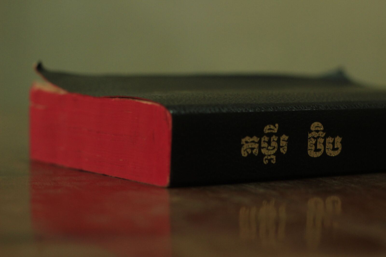 Canon EOS 600D (Rebel EOS T3i / EOS Kiss X5) + Canon EF 50mm F1.8 II sample photo. Khmer bible, holy bible photography