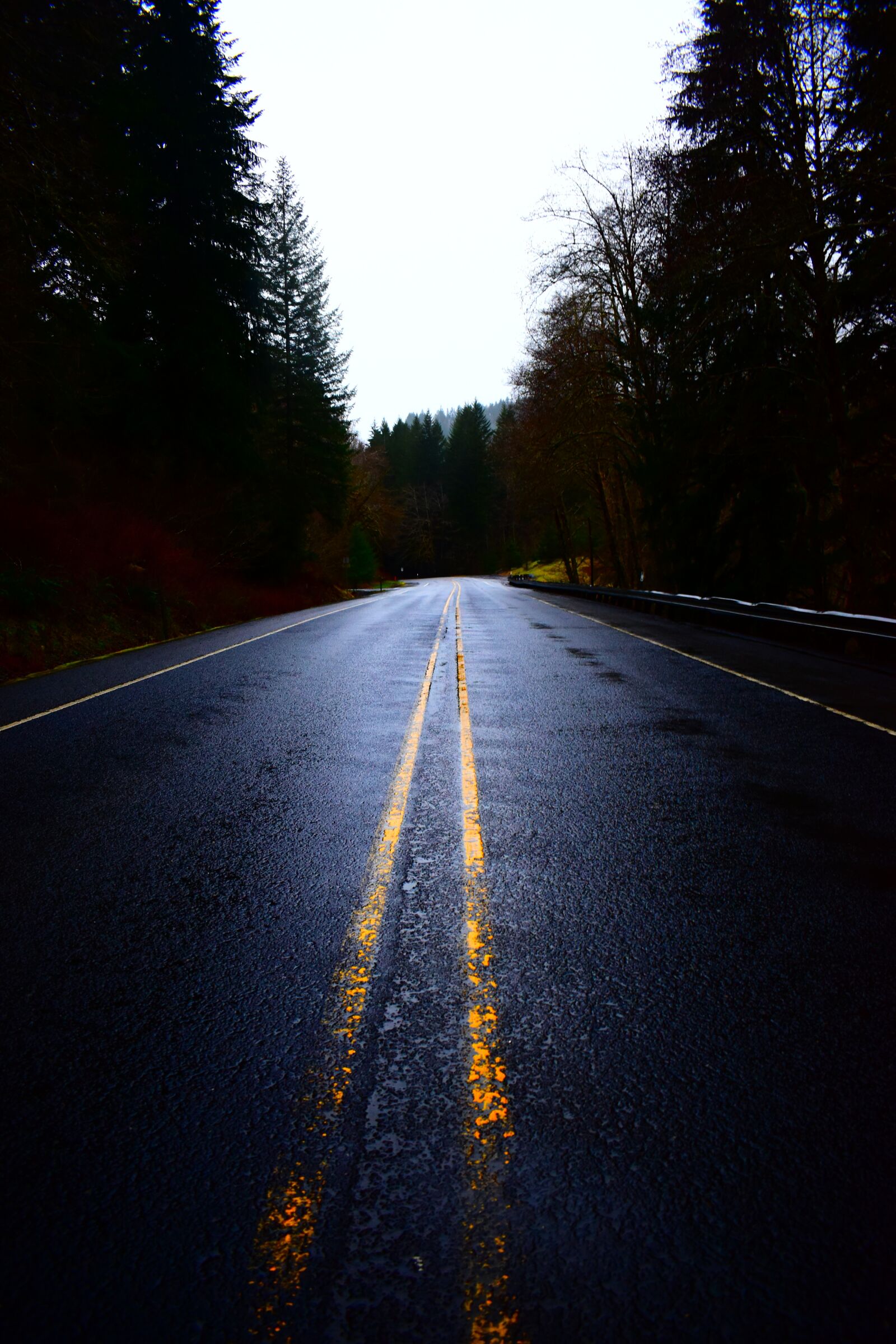 Nikon D3500 sample photo. Road, forest, path photography