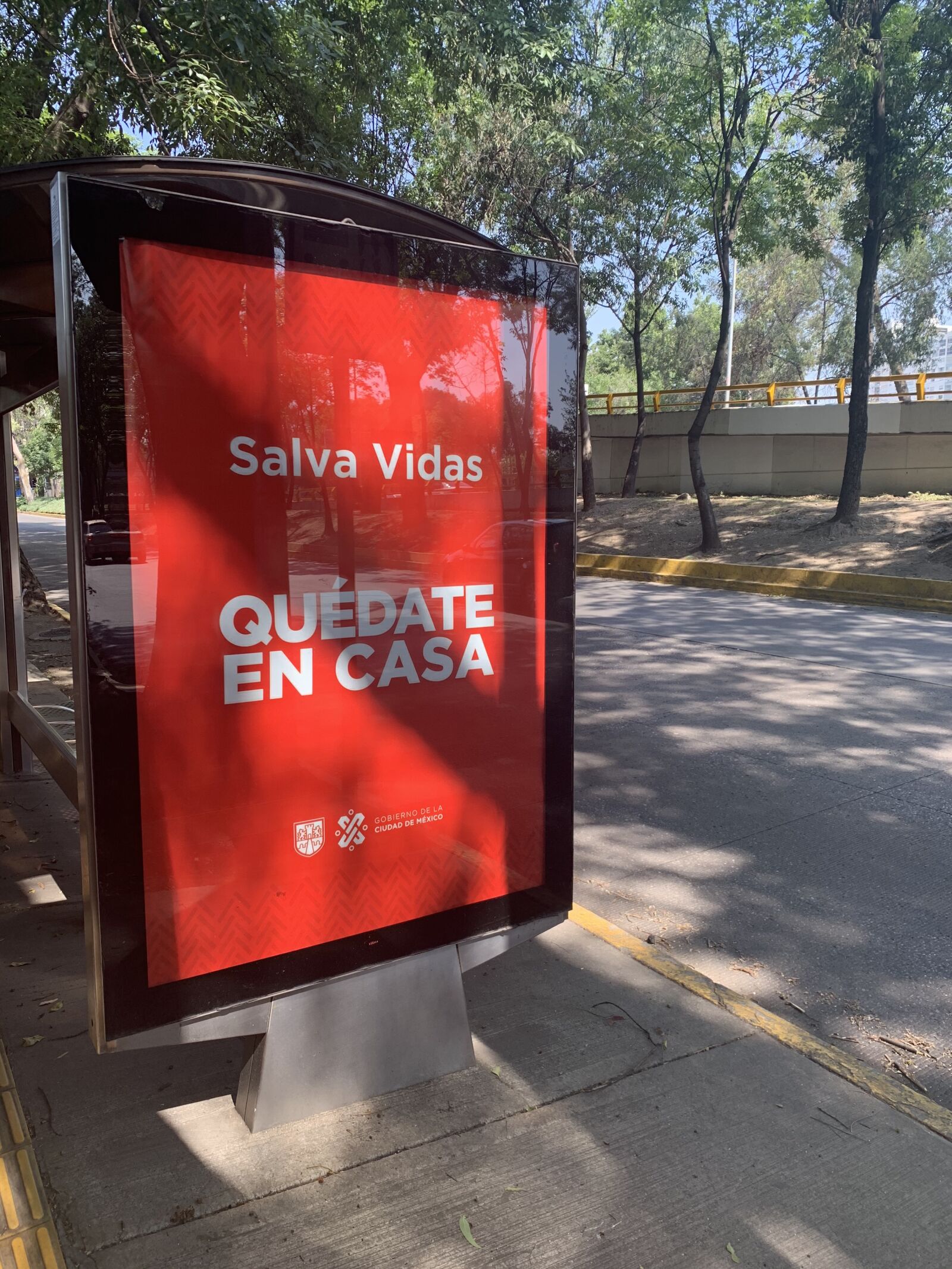 iPhone XS back dual camera 4.25mm f/1.8 sample photo. Cdmx, mexico, advertising photography